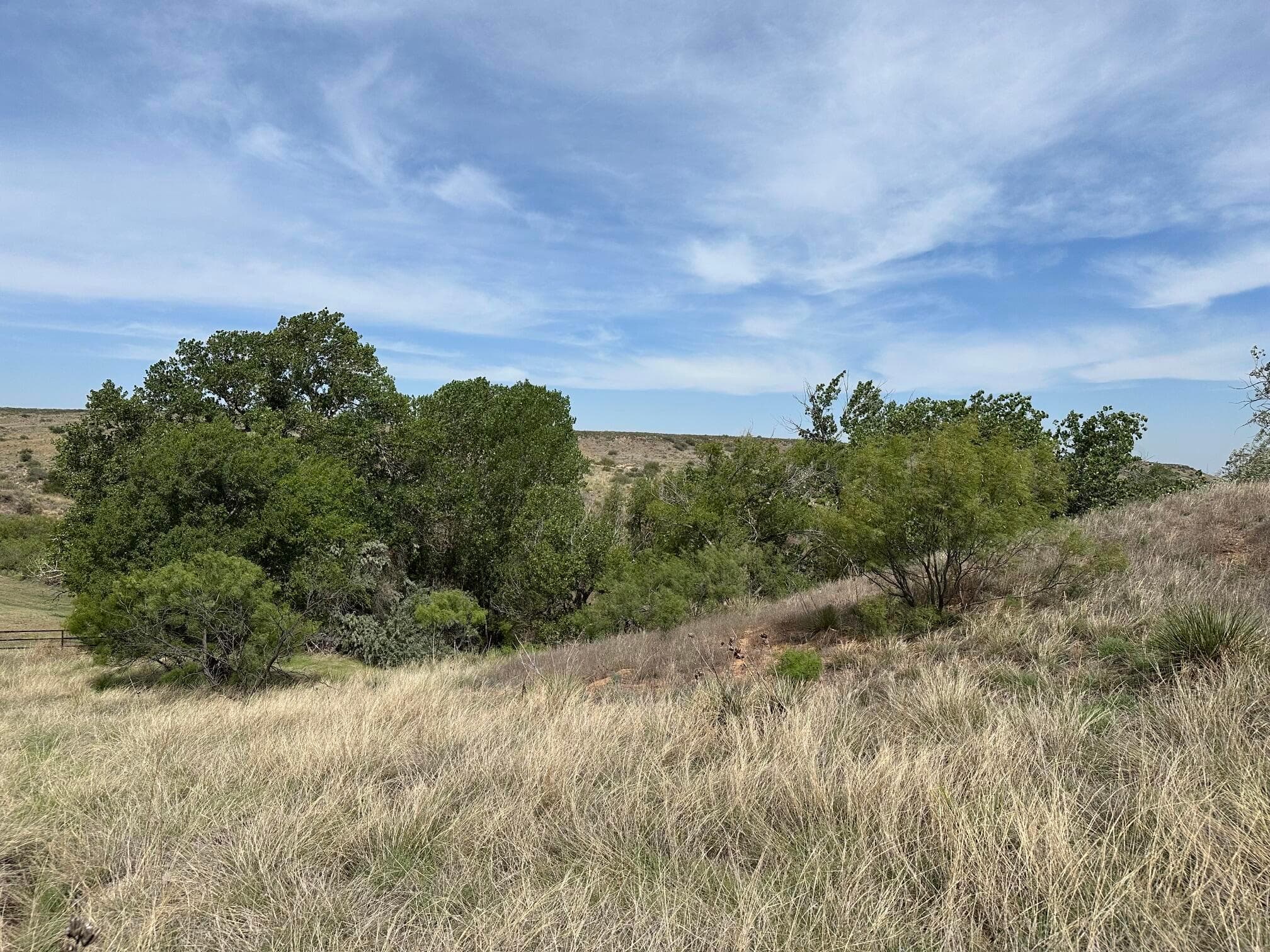 0 Lost Canyon Drive, Amarillo, TX 79124, photo 8