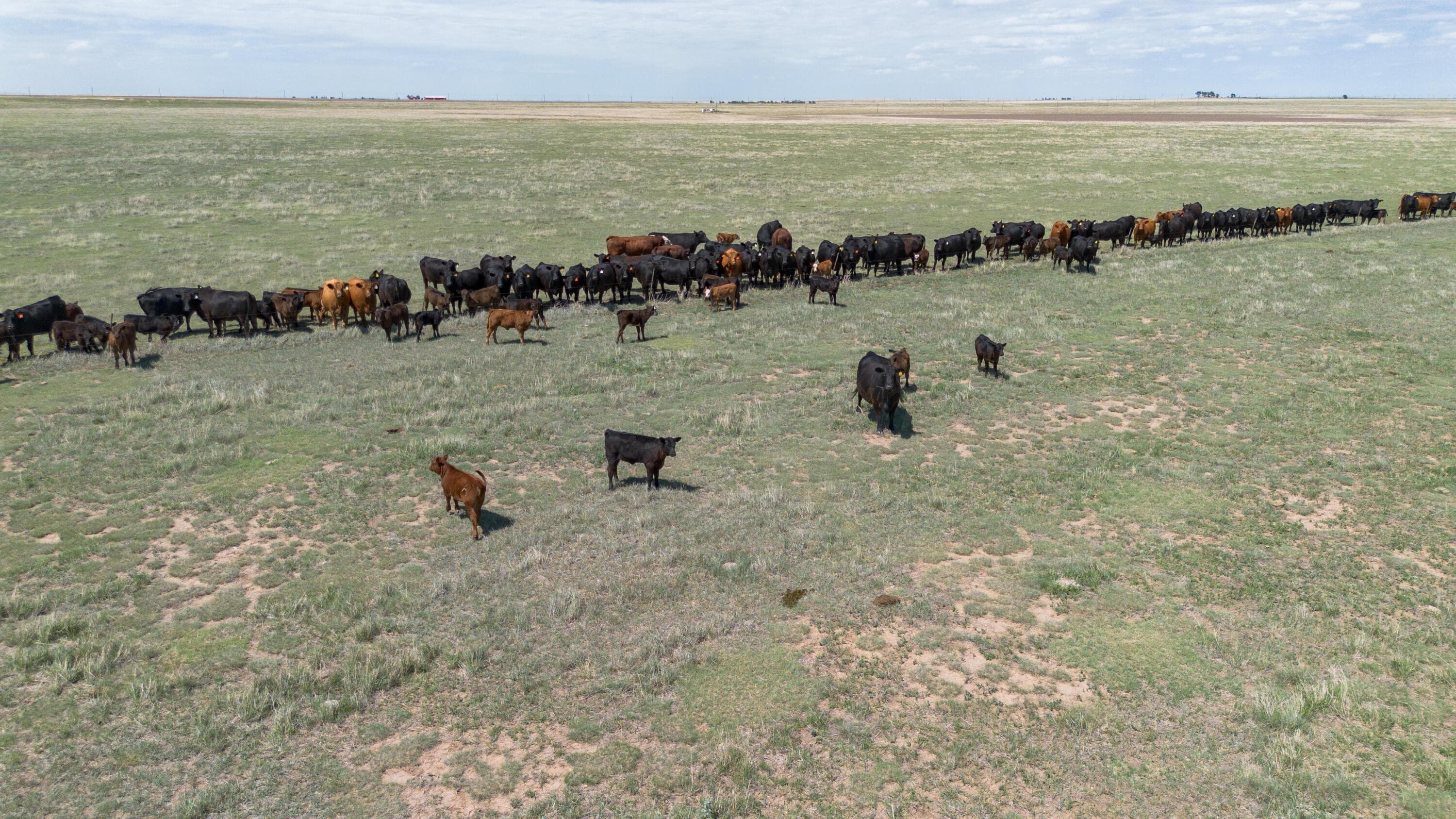 Baskin Ranch ±3,142.65ac, Stratford, TX 79084, photo 88