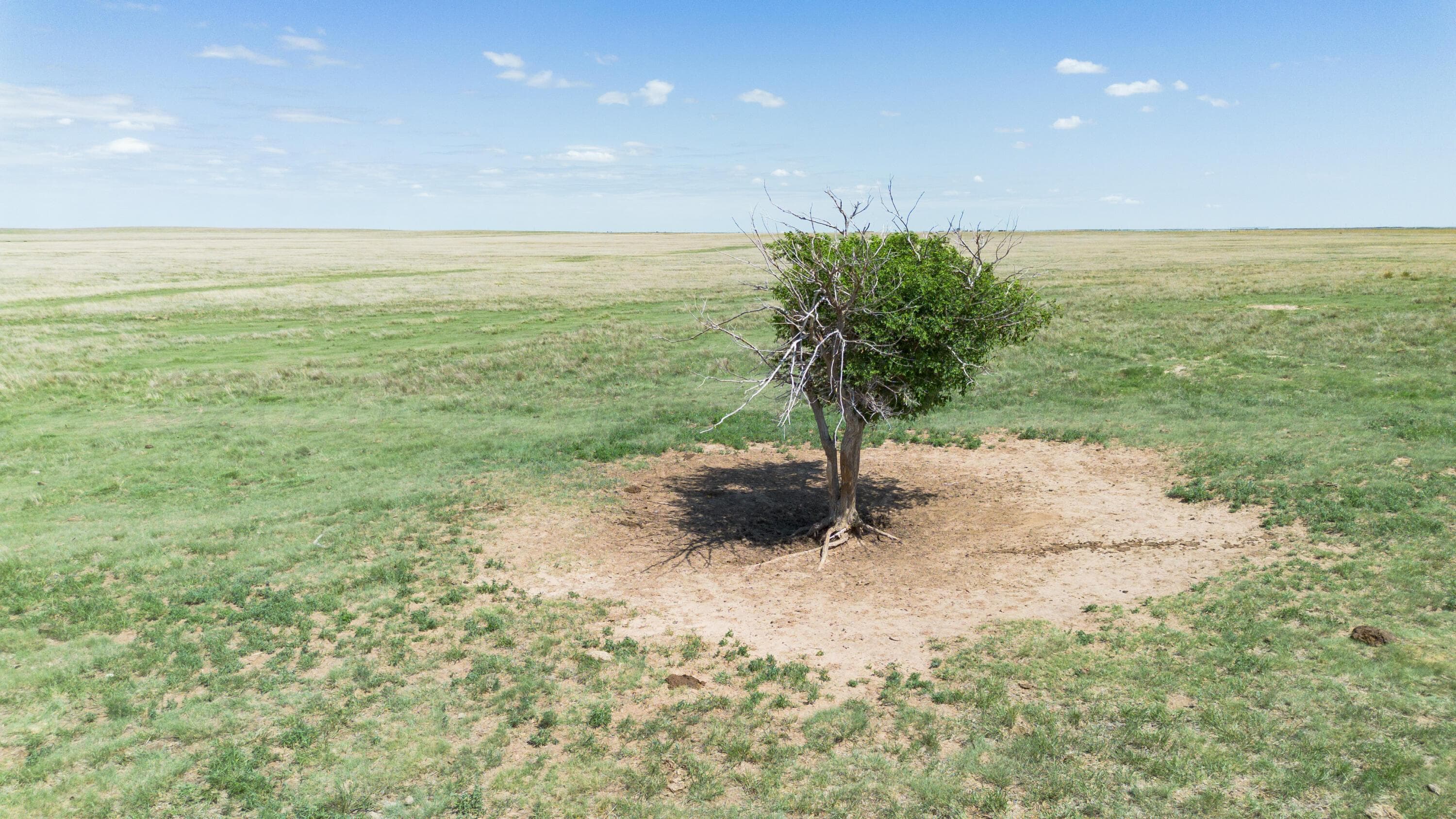 Baskin Ranch ±3,142.65ac, Stratford, TX 79084, photo 92