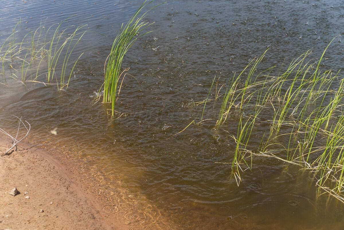 Bar T Ranch, Shamrock, TX 79079, photo 11