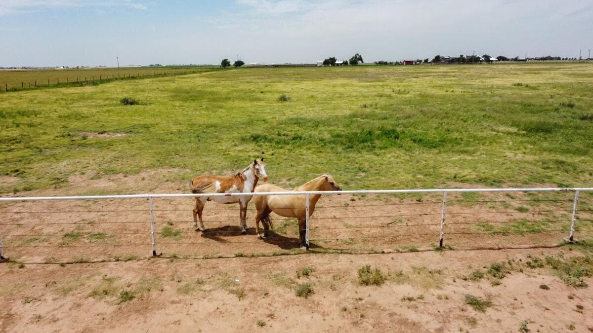 21401 Hope Road, Canyon, TX 79015, photo 152
