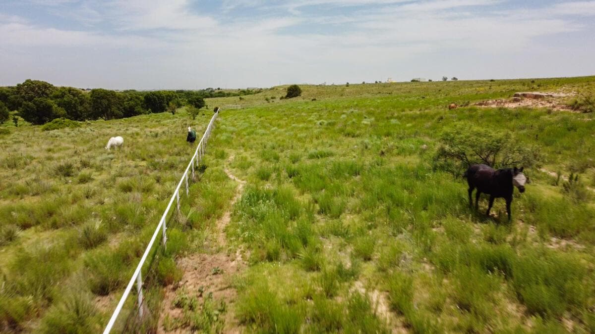 21401 Hope Road, Canyon, TX 79015, photo 154