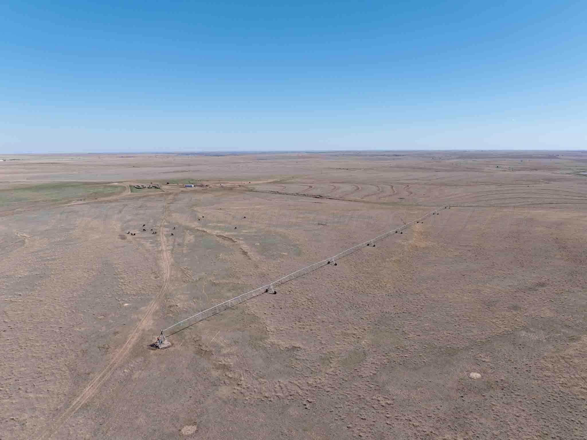 Bourquin Cattle 813 Ac, Follett, TX 79034, photo 7