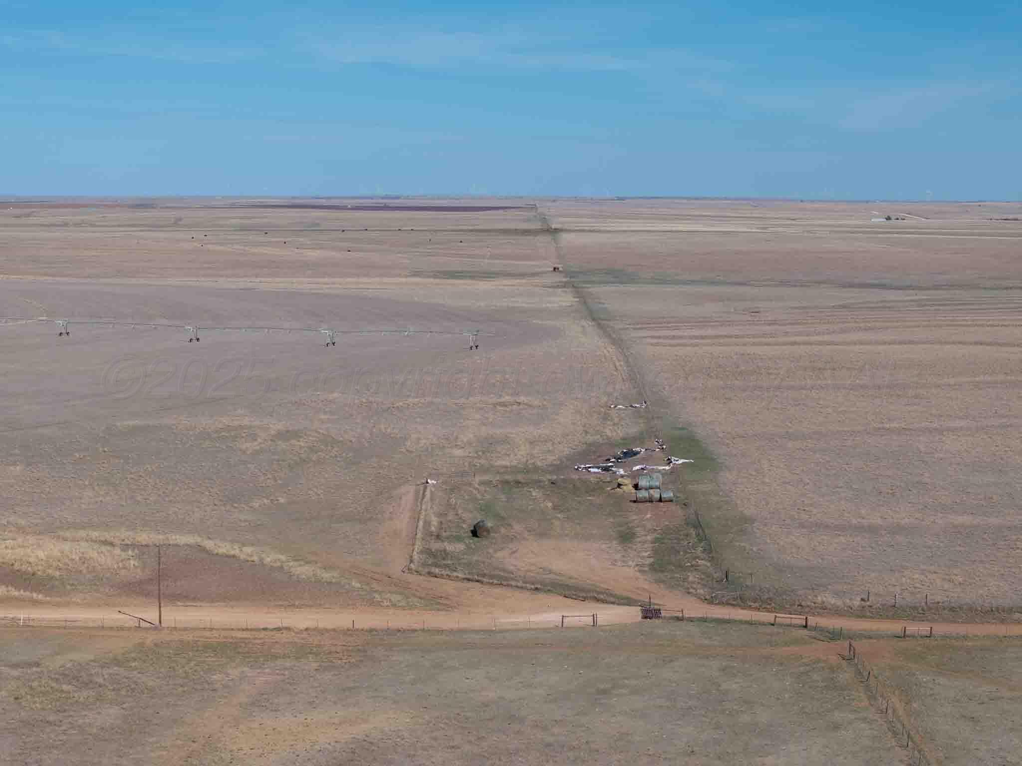 Bourquin Cattle 813 Ac, Follett, TX 79034, photo 16