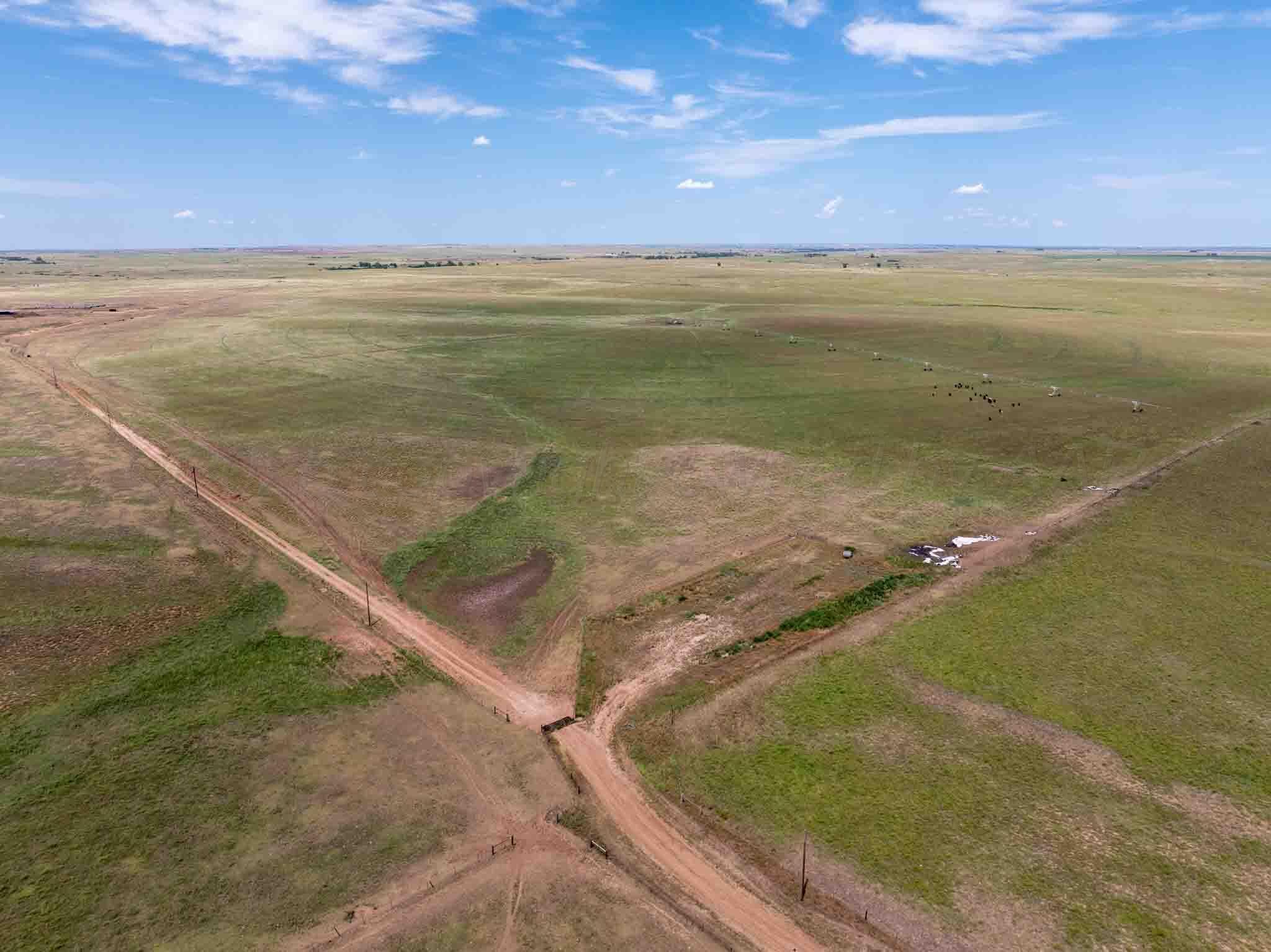 Bourquin Cattle 495 Ac, Follett, TX 79034, photo 16
