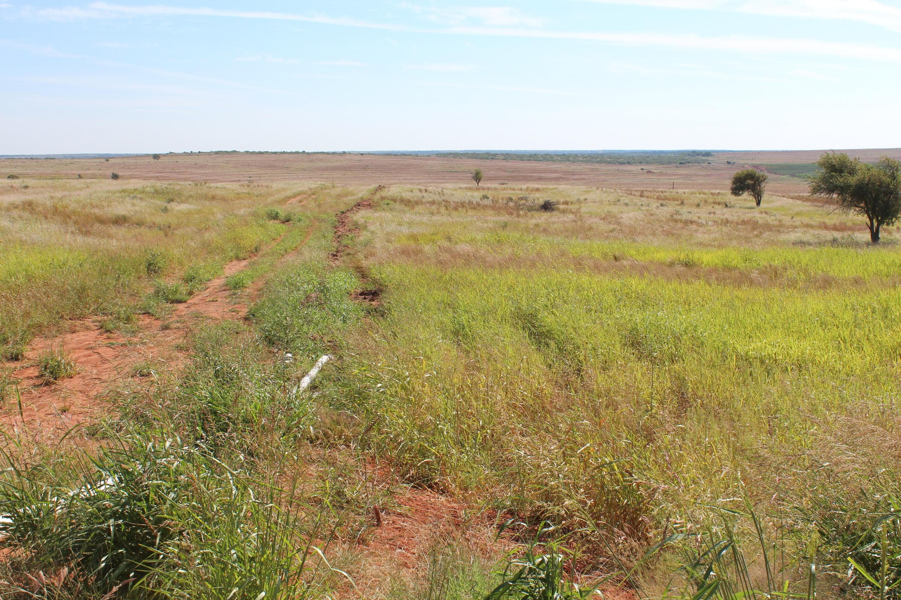 325 acres Childress, Amarillo, TX 79201, photo 3