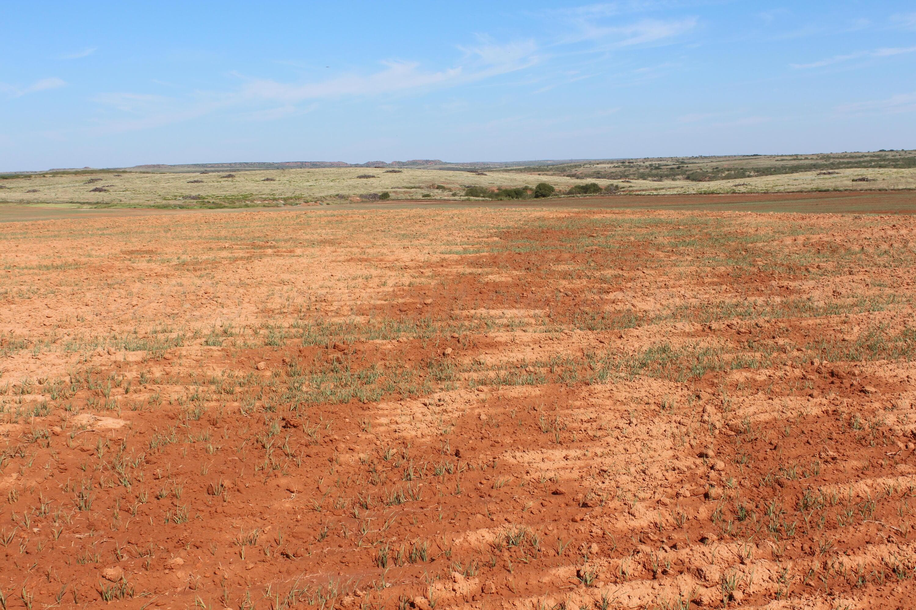 325 acres Childress, Amarillo, TX 79201, photo 14