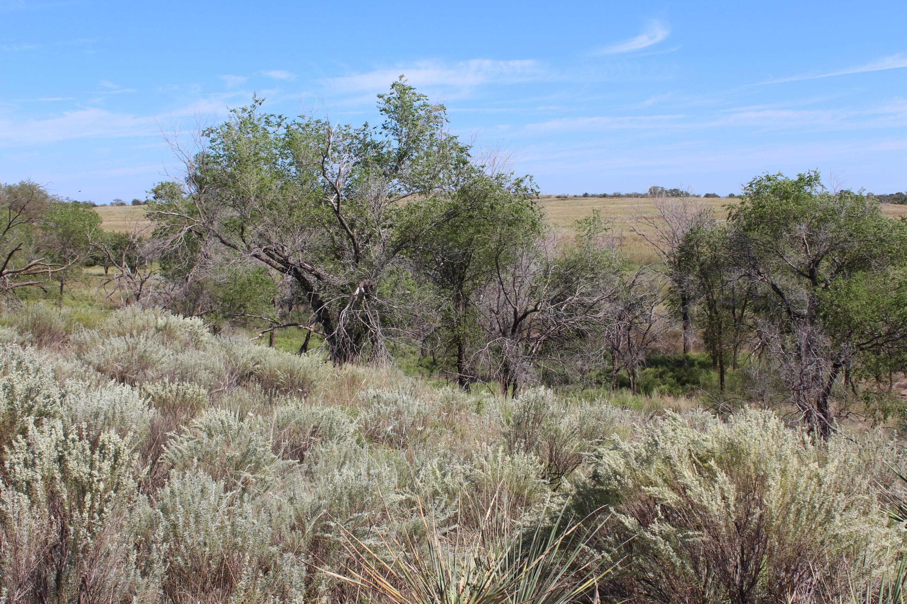 325 acres Childress, Amarillo, TX 79201, photo 23