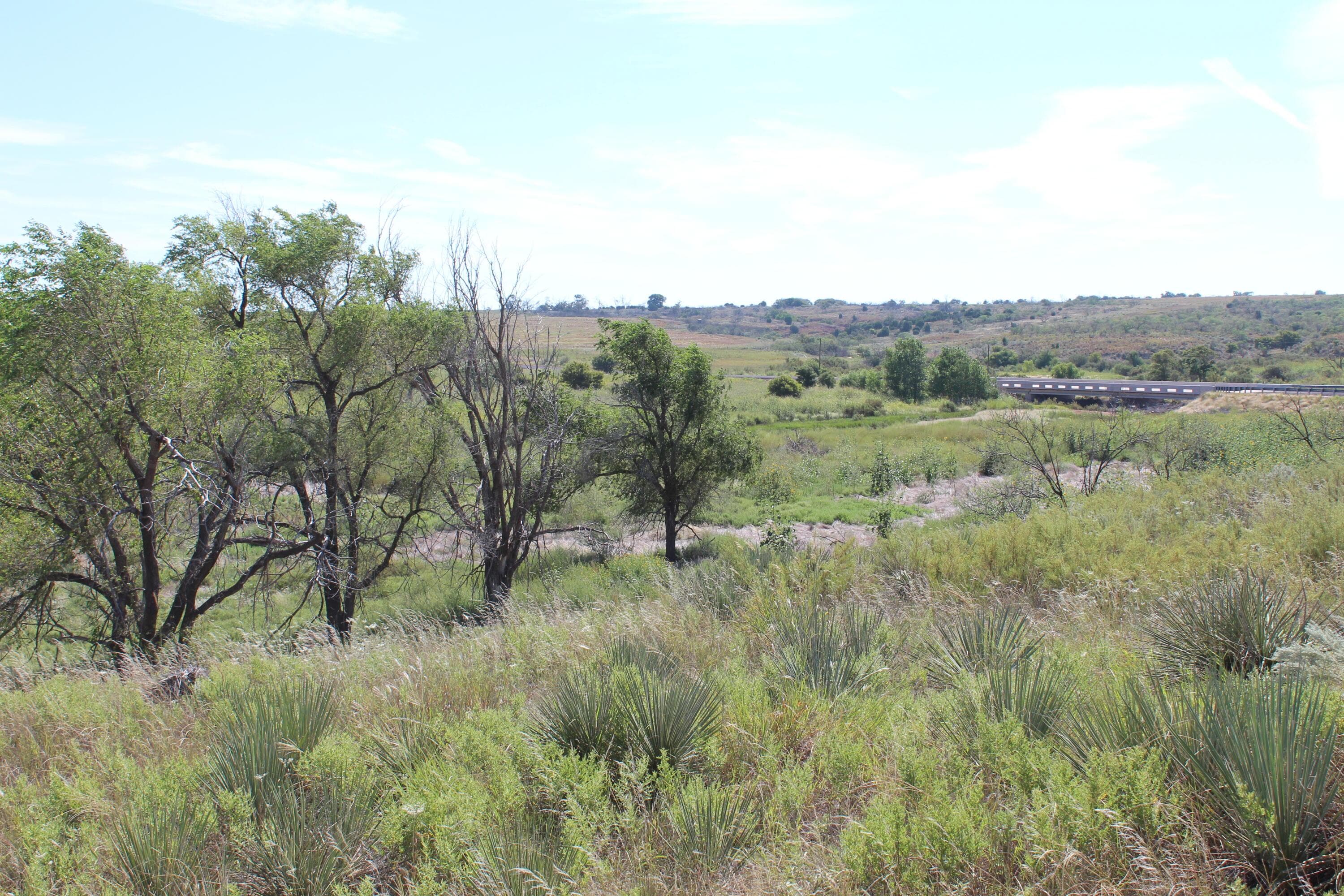325 acres Childress, Amarillo, TX 79201, photo 28
