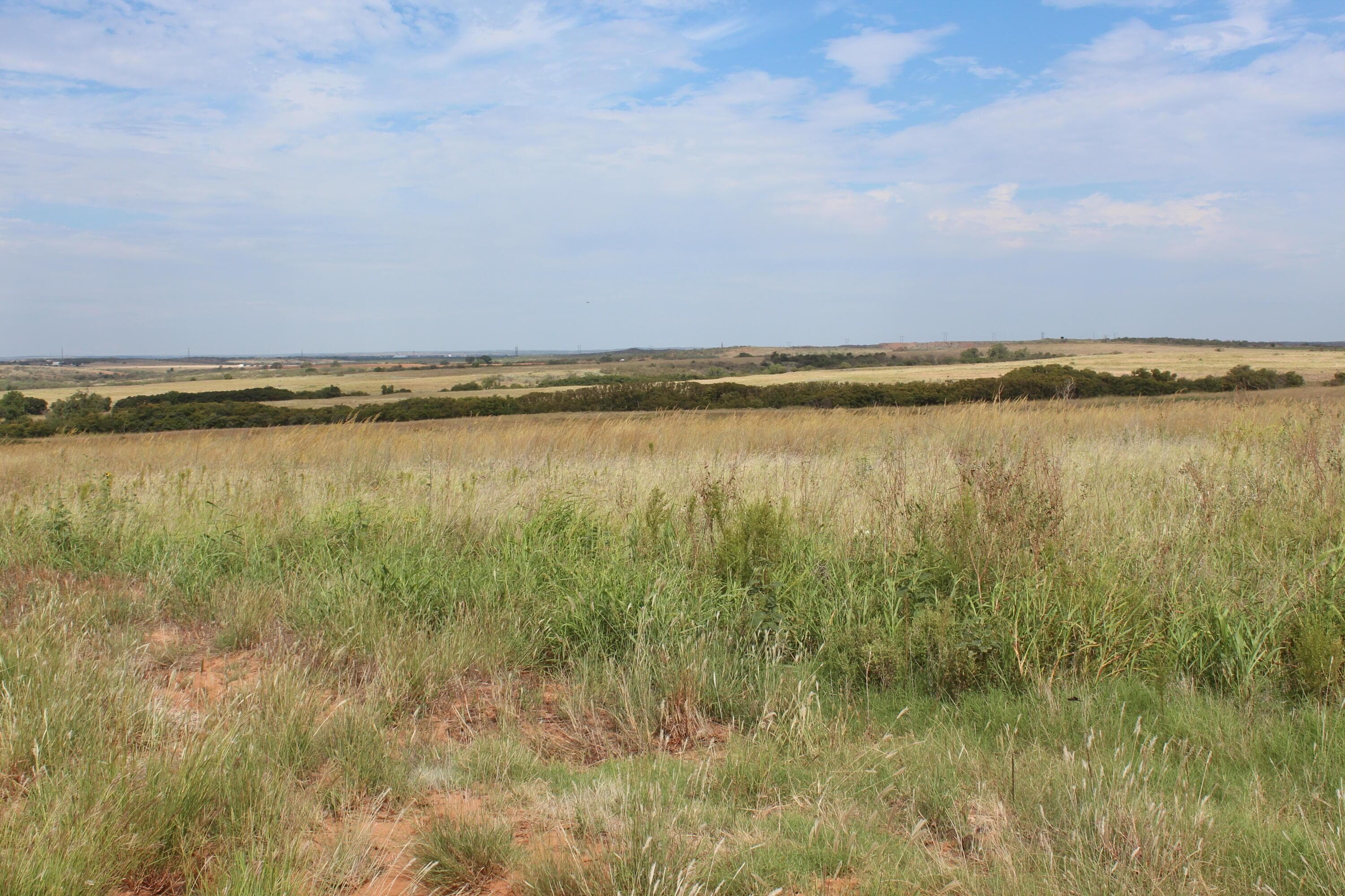 325 acres Childress, Amarillo, TX 79201, photo 31