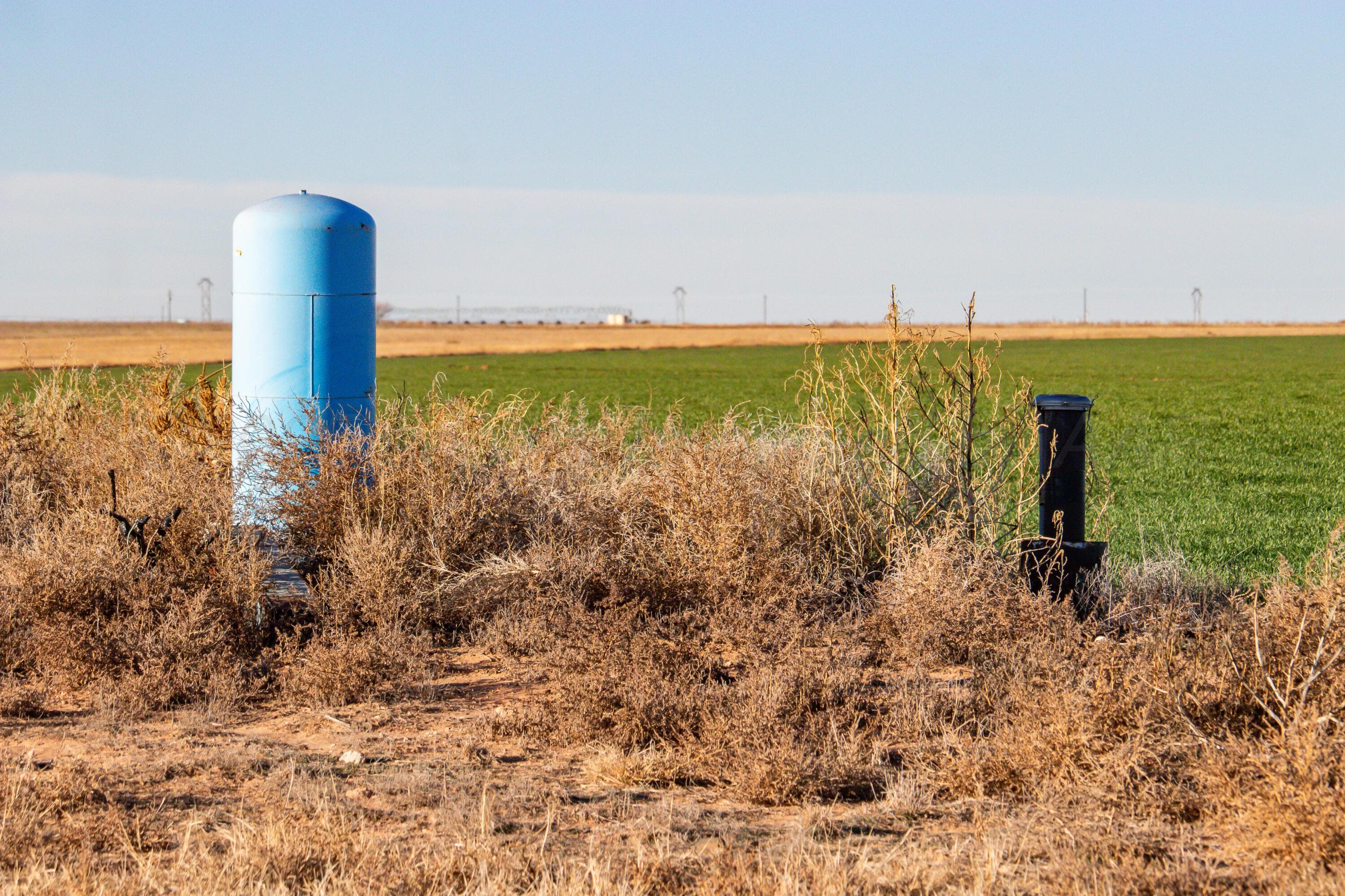 Te Velde Irrigated Farm, Dimmitt, TX 79027, photo 7