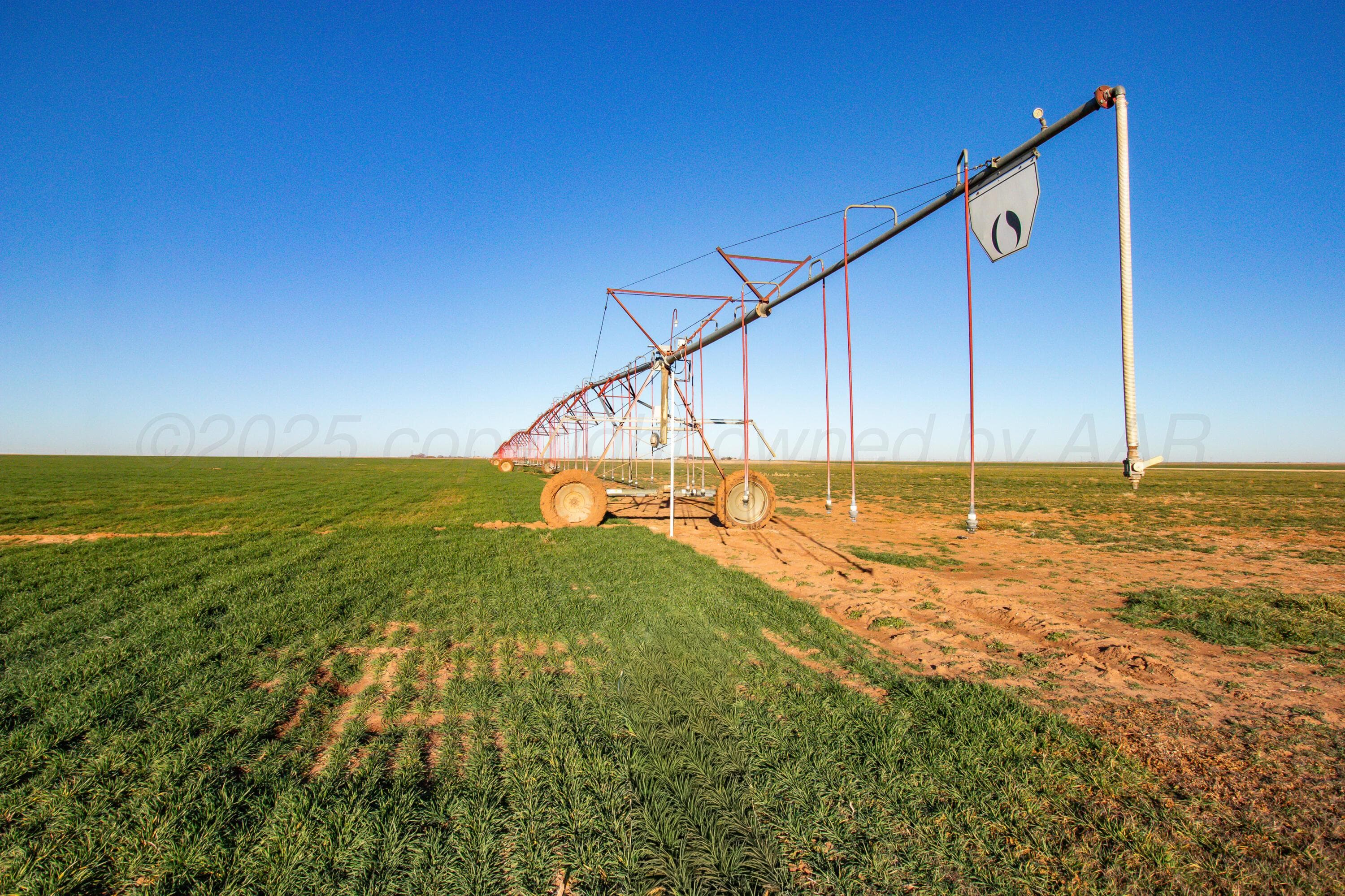 Te Velde Irrigated Farm, Dimmitt, TX 79027, photo 10
