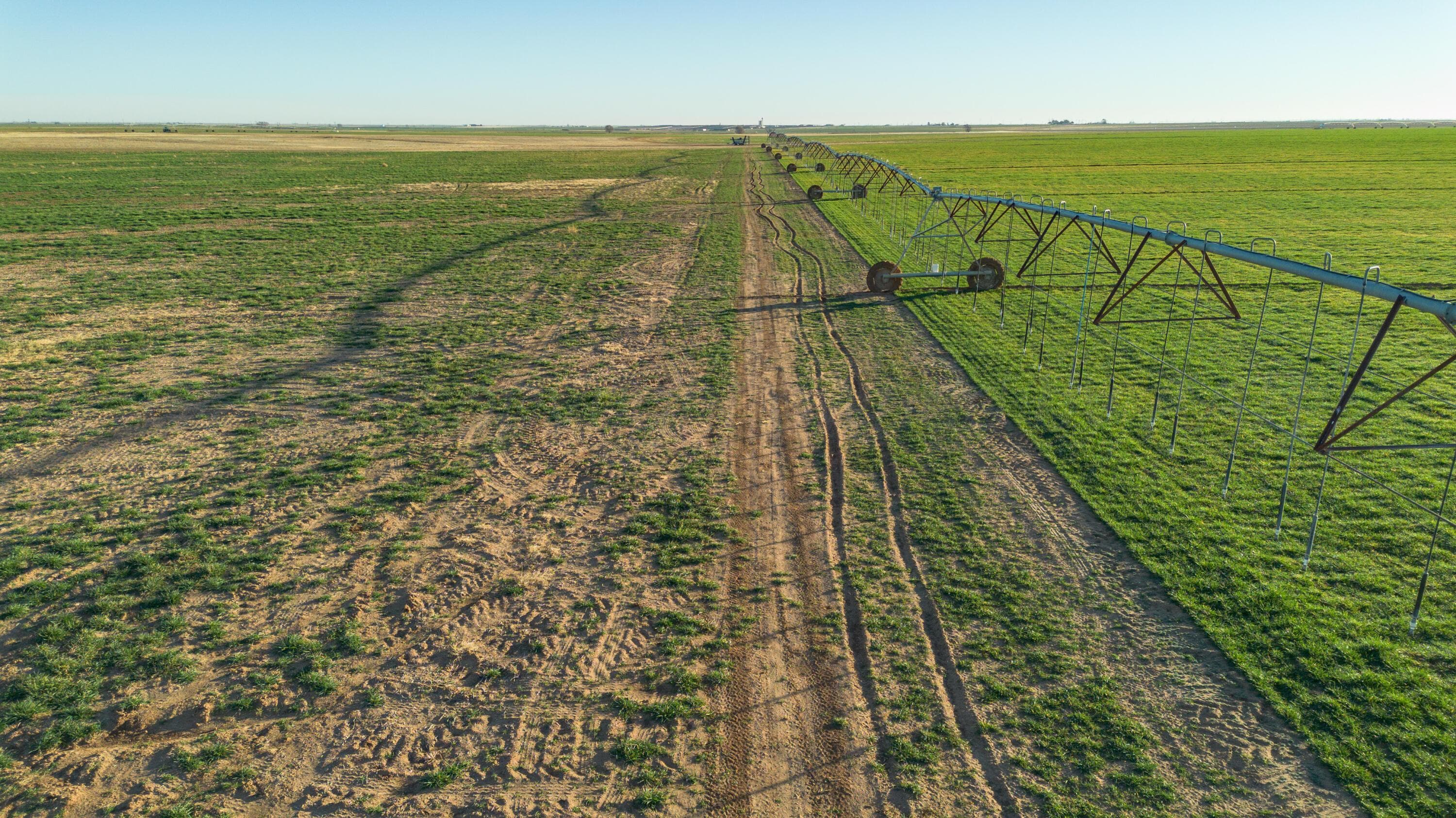 Te Velde Irrigated Farm, Dimmitt, TX 79027, photo 16