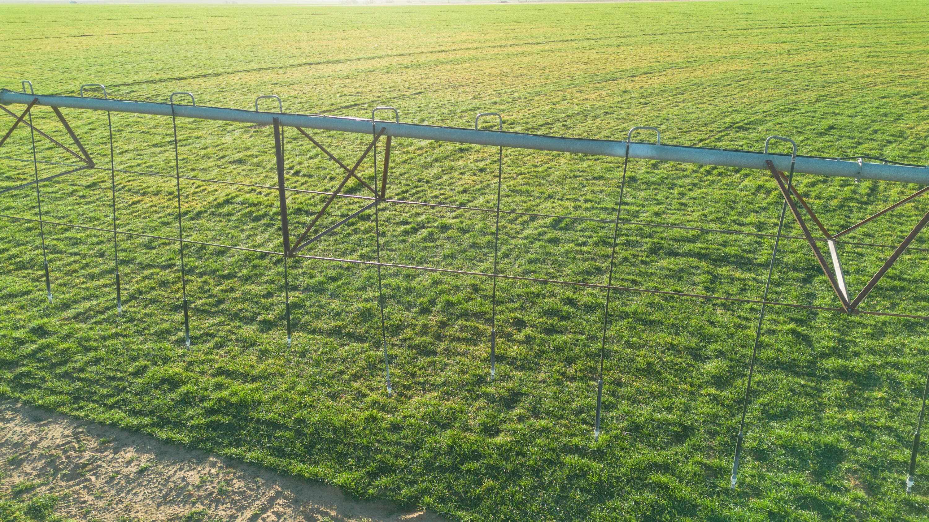 Te Velde Irrigated Farm, Dimmitt, TX 79027, photo 17