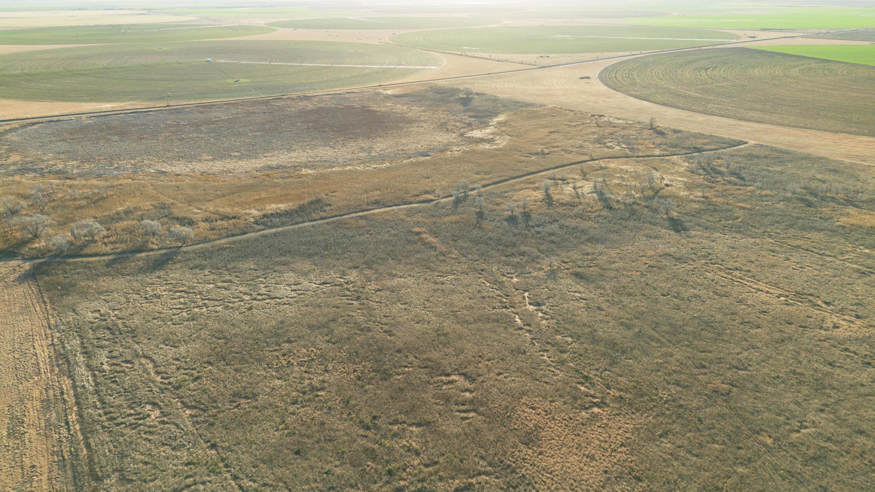 Te Velde Irrigated Farm, Dimmitt, TX 79027, photo 25