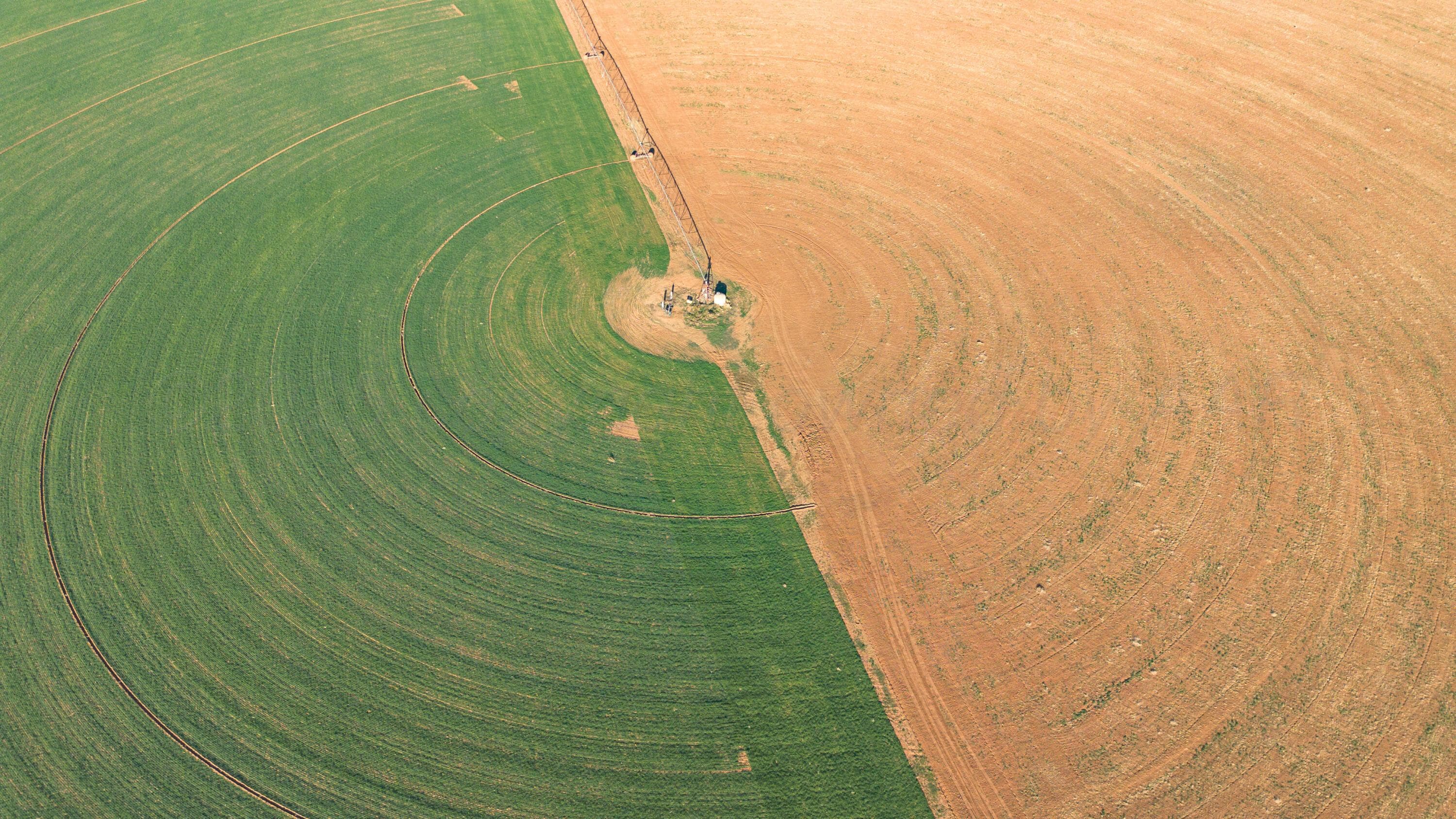 Te Velde Irrigated Farm, Dimmitt, TX 79027, photo 32