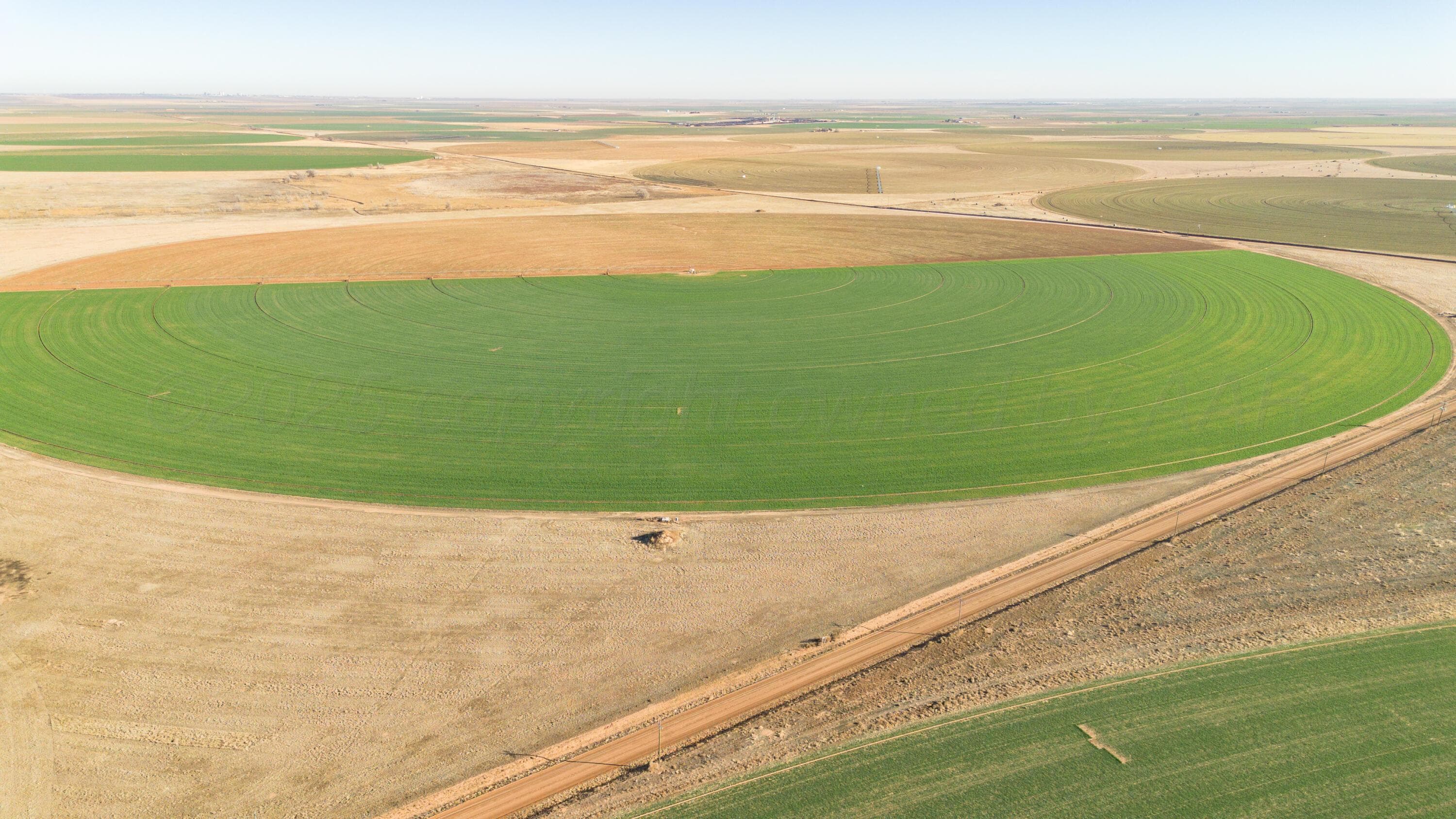 Te Velde Irrigated Farm, Dimmitt, TX 79027, photo 36