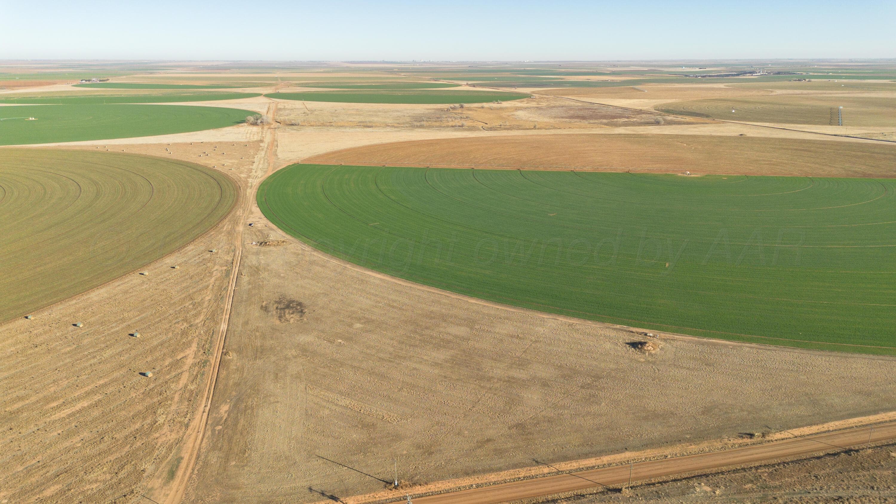 Te Velde Irrigated Farm, Dimmitt, TX 79027, photo 37
