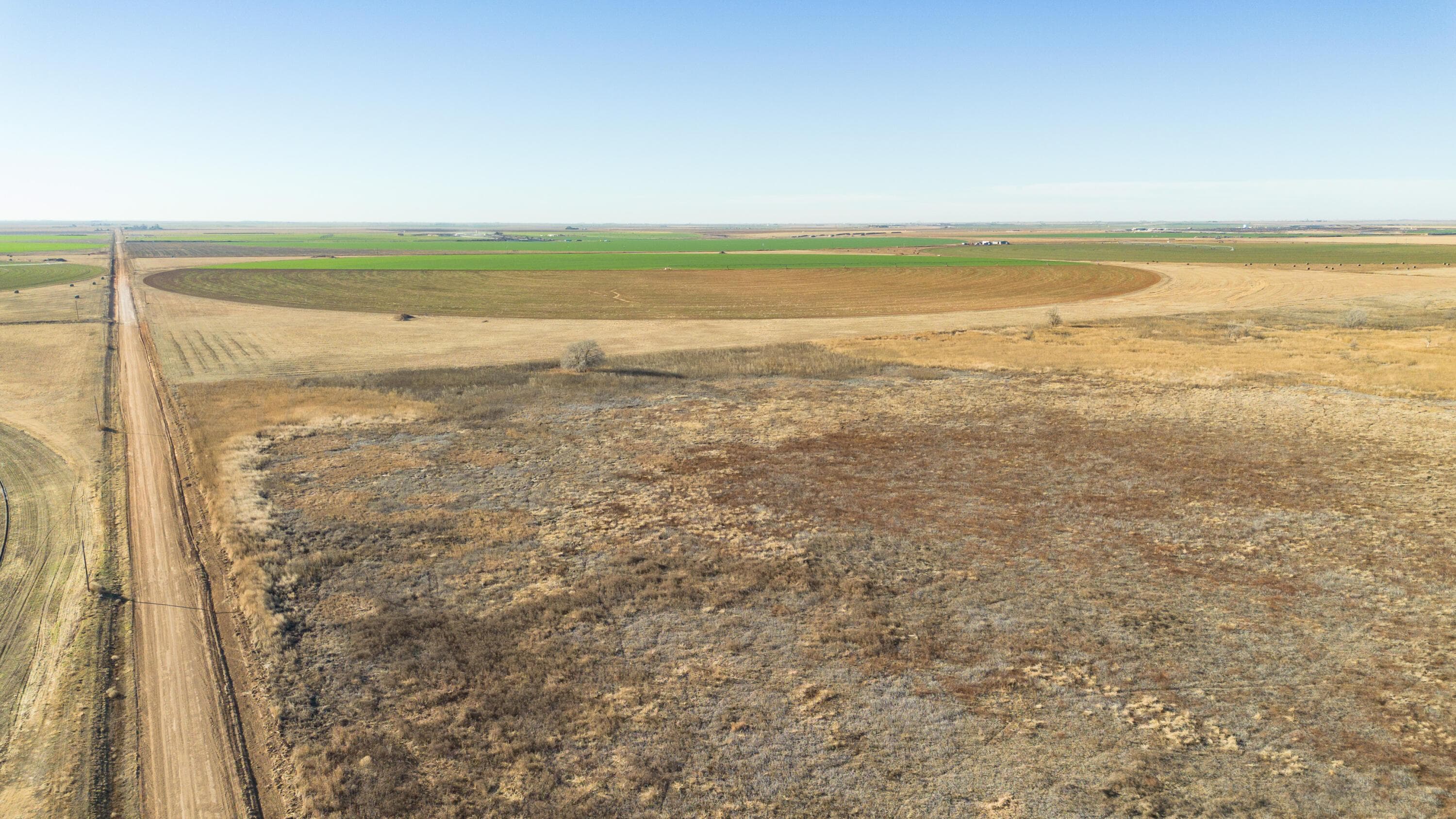 Te Velde Irrigated Farm, Dimmitt, TX 79027, photo 43