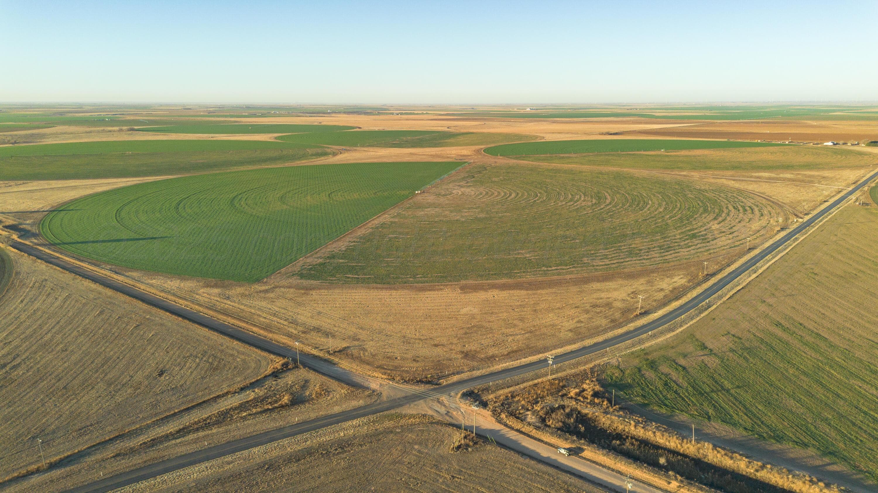 Te Velde Irrigated Farm, Dimmitt, TX 79027, photo 51