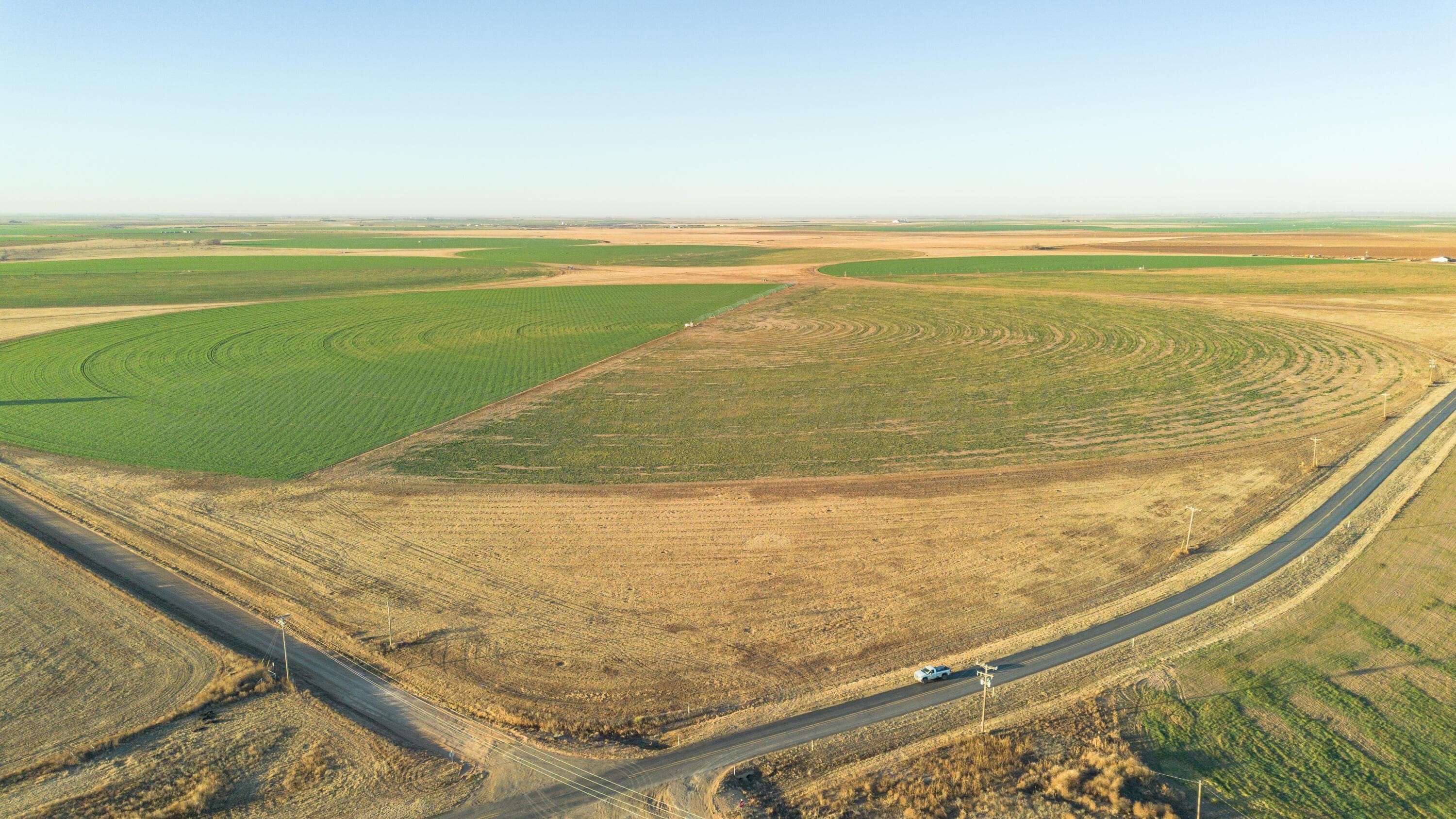 Te Velde Irrigated Farm, Dimmitt, TX 79027, photo 53
