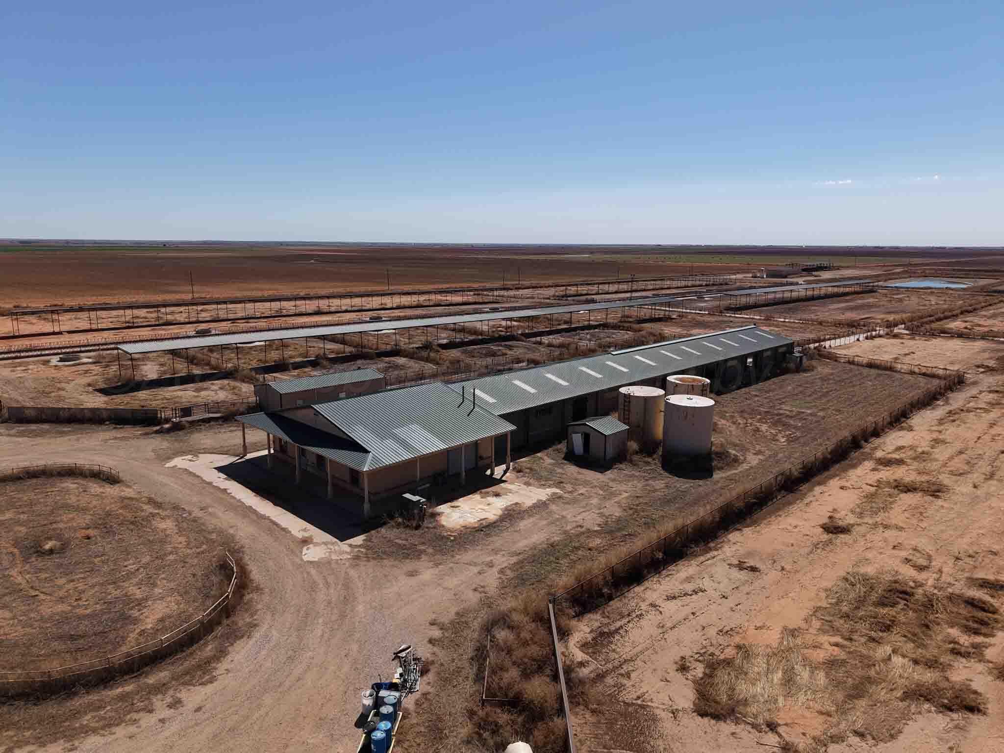 Cal Star Dairy, Brownfield, TX 79316, photo 2