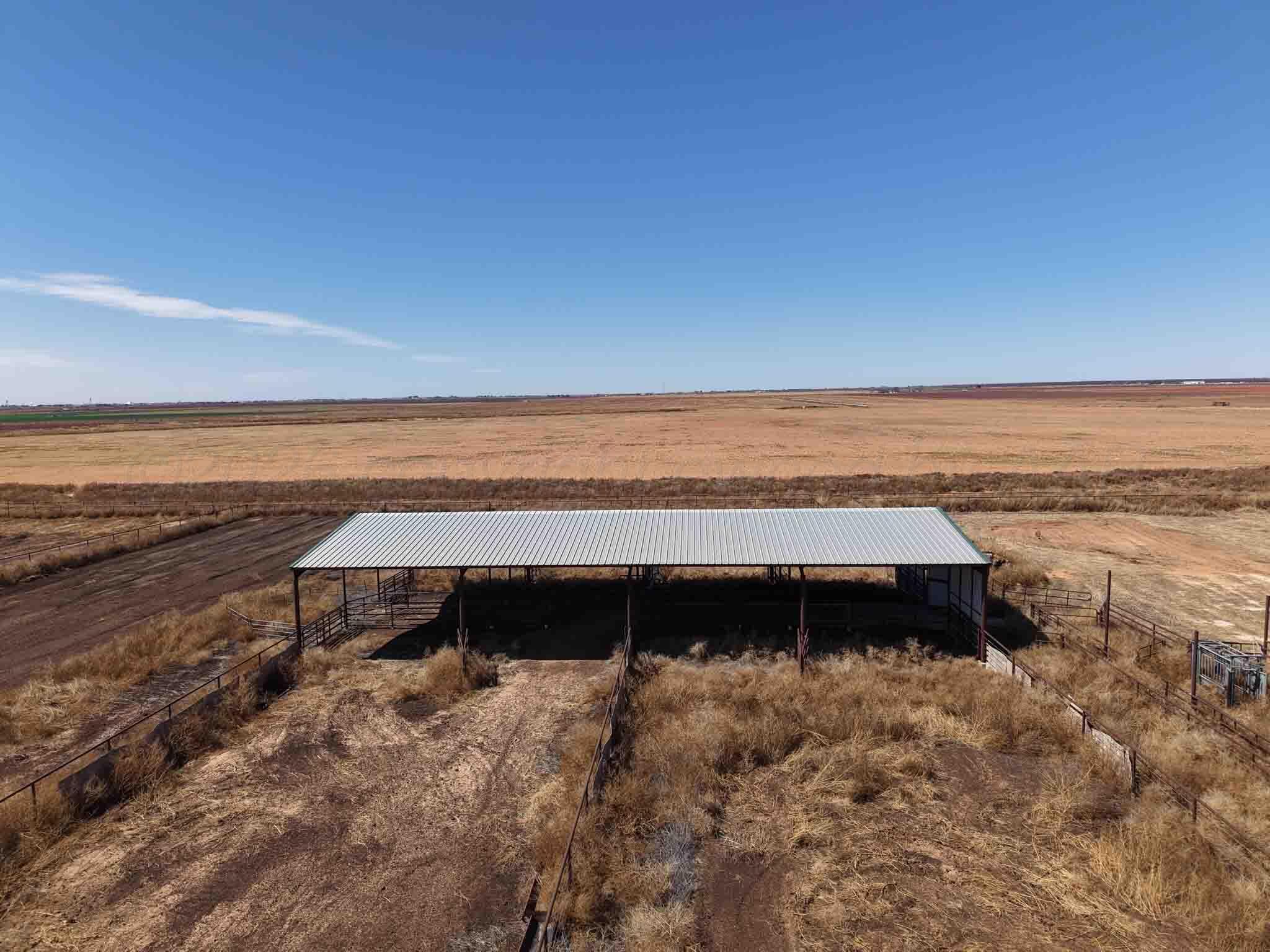 Cal Star Dairy, Brownfield, TX 79316, photo 41