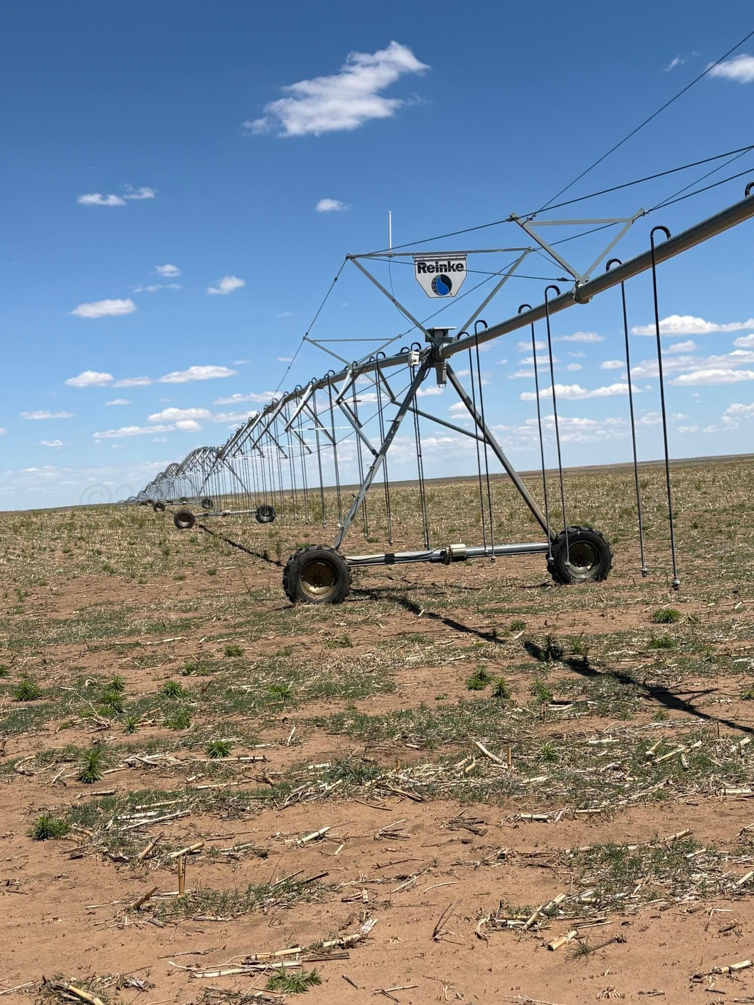 000 000, Dalhart, TX 79022, photo 5