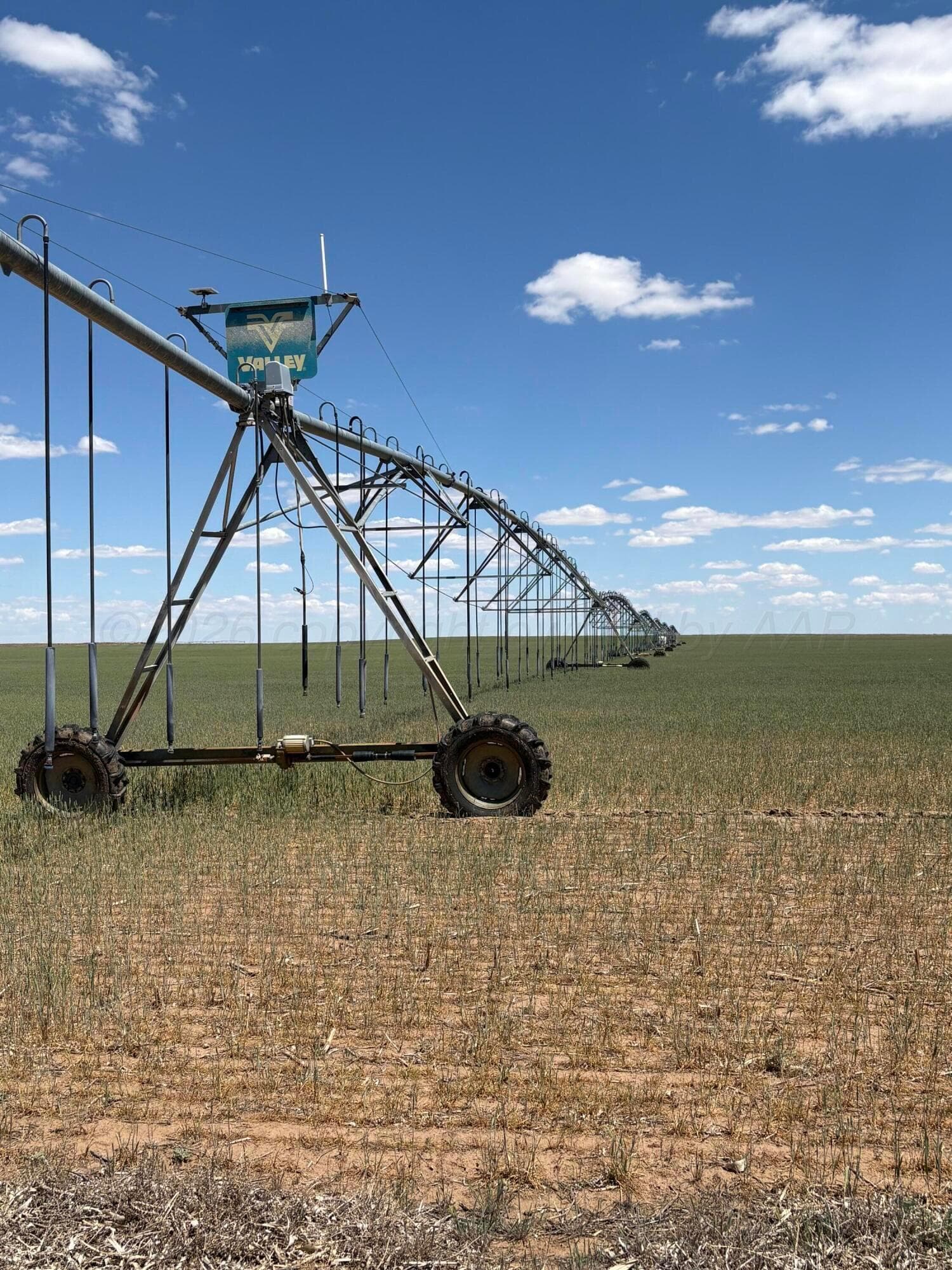 000 000, Dalhart, TX 79022