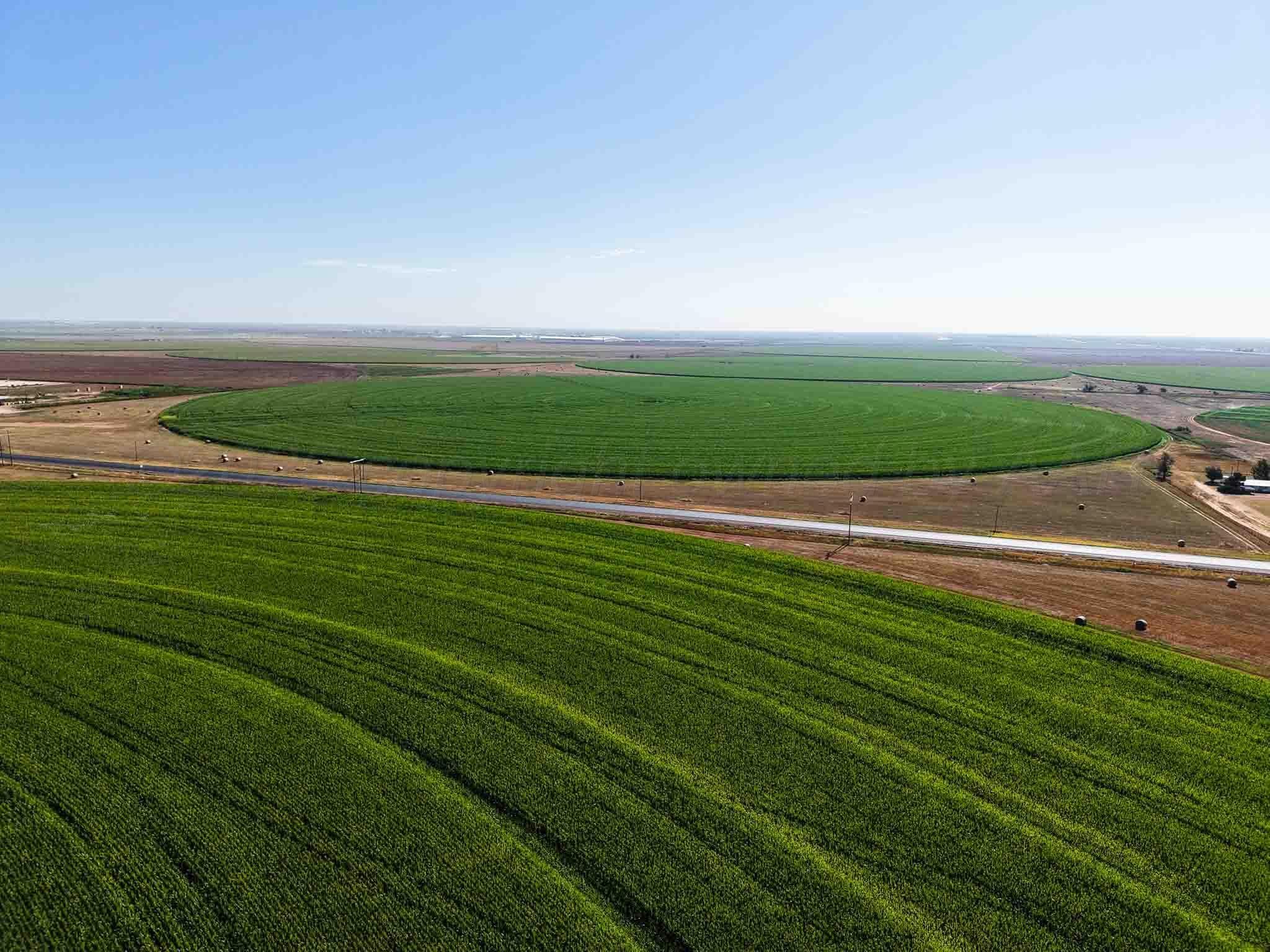 Busby Farm 516.34 Acres CR 625, Hart, TX 79027, photo 16