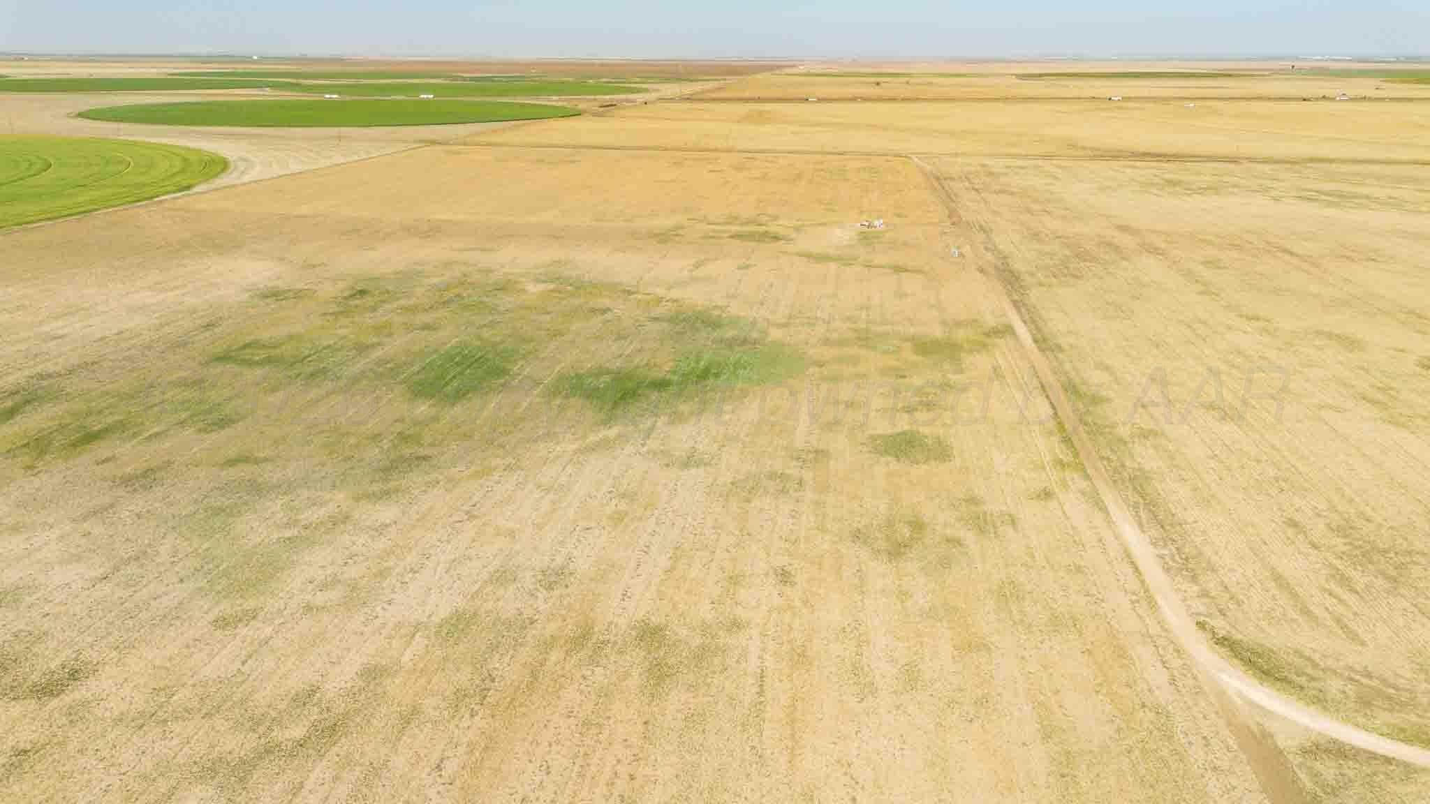 Baskin Ranch ±3,142.65ac, Stratford, TX 79084, photo 14