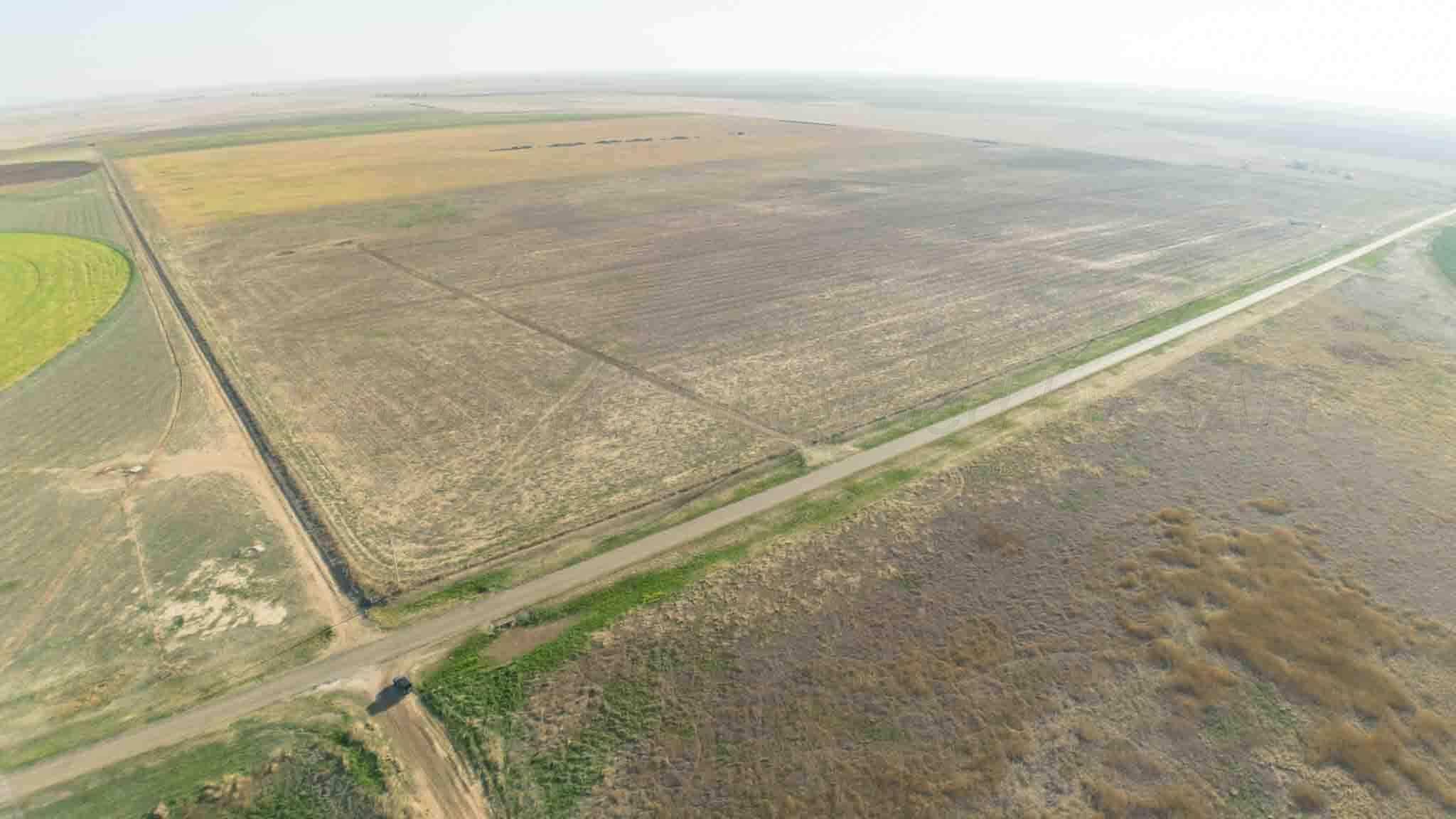 Baskin Ranch ±3,142.65ac, Stratford, TX 79084, photo 23