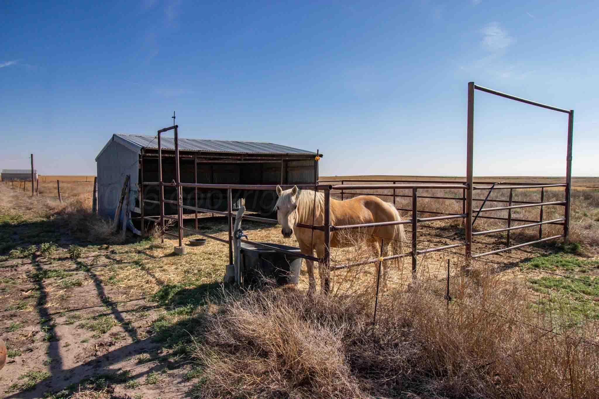 Baskin Ranch ±3,142.65ac, Stratford, TX 79084, photo 67