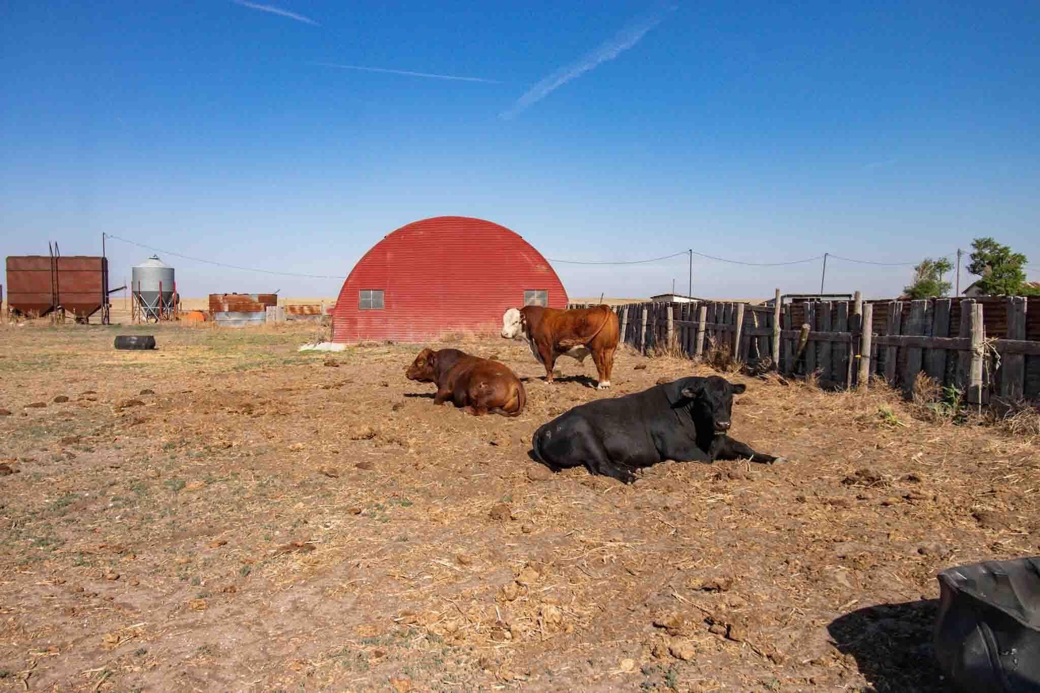 Baskin Ranch ±3,142.65ac, Stratford, TX 79084, photo 69