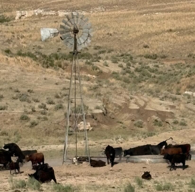 Canadian, TX 79014, photo 5