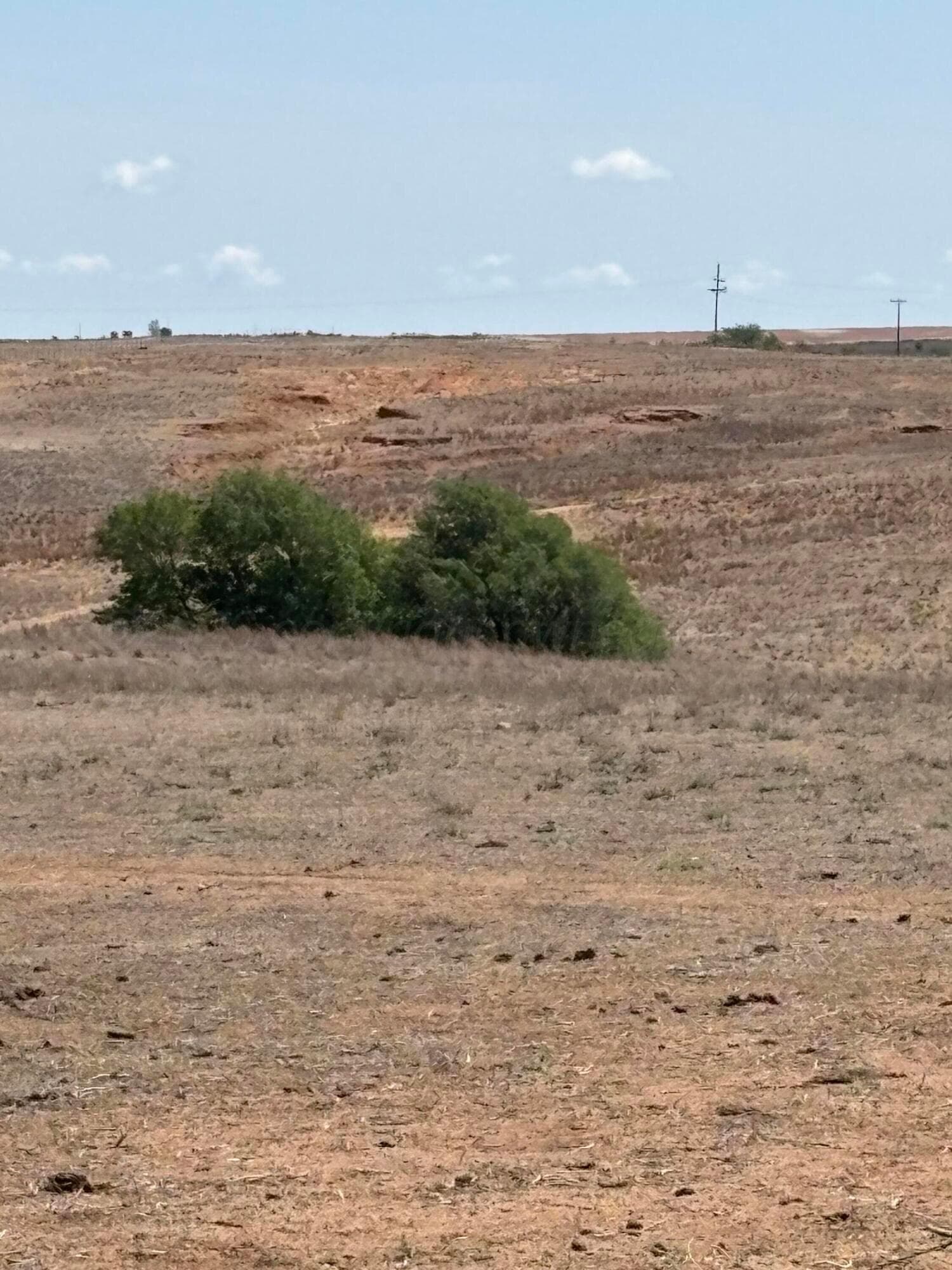 McLean, TX 79057, photo 5