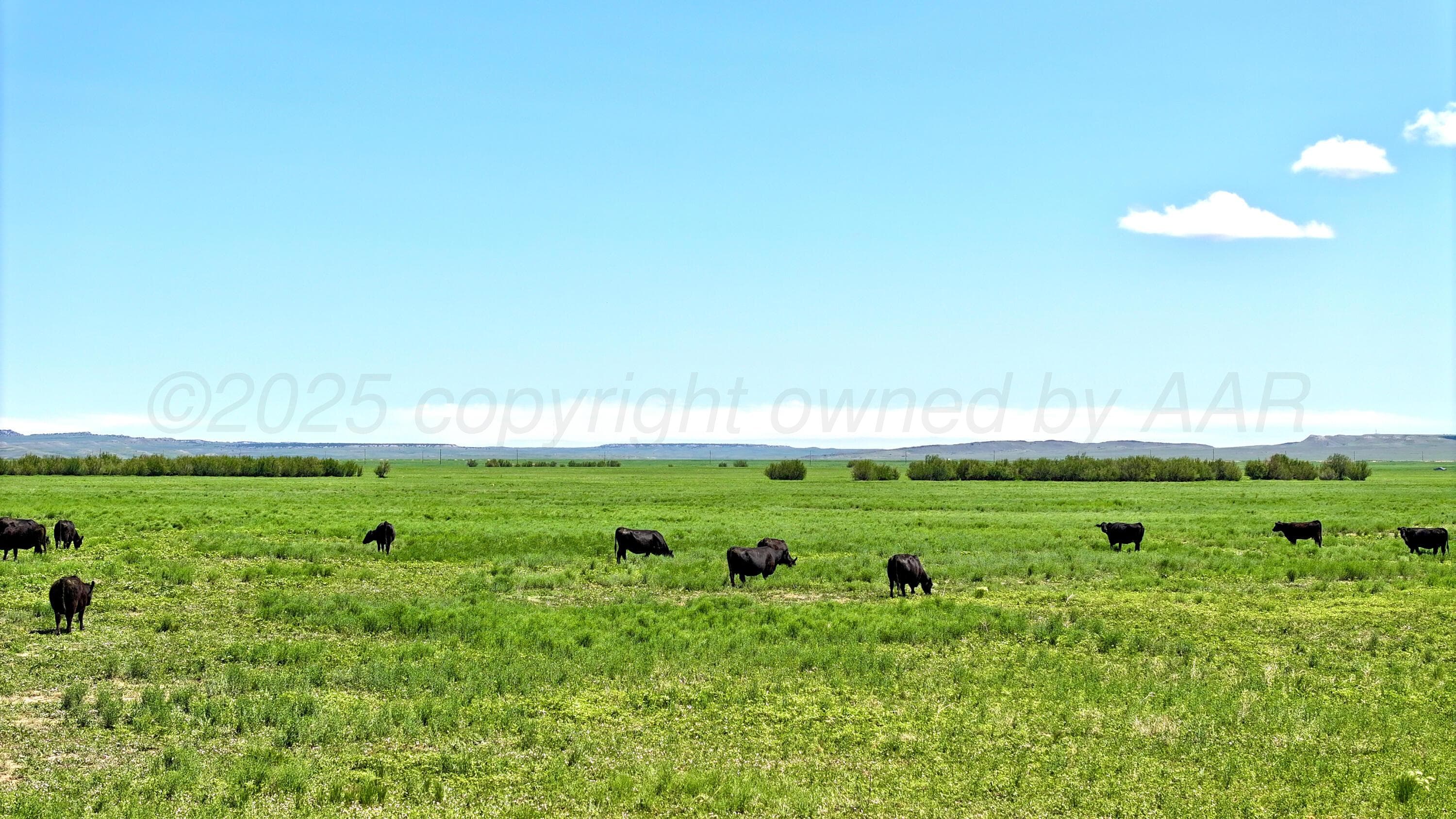 48999 County Road 48, Other - Not in list, CO 81059, photo 5