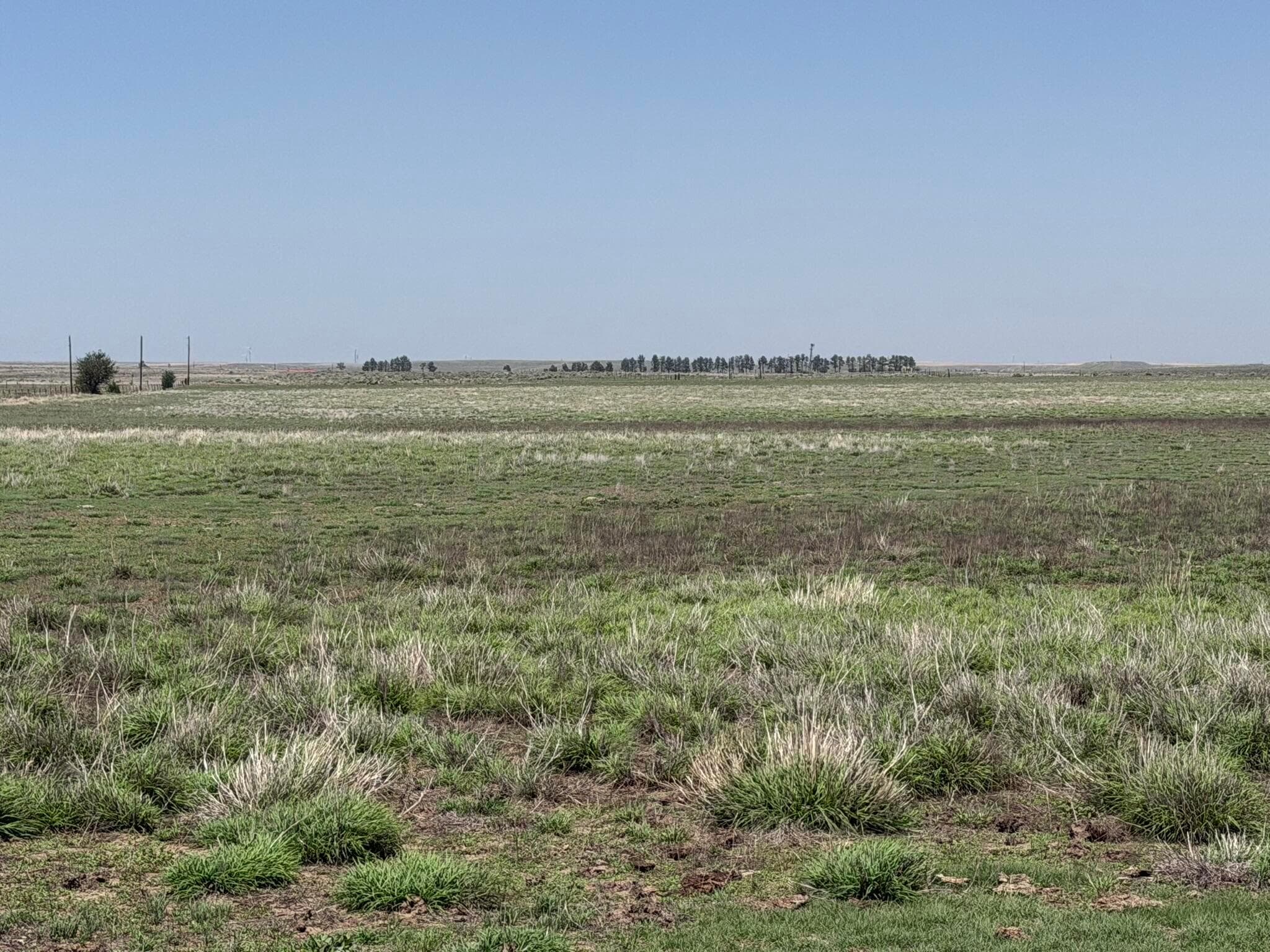 TBD County Road 3, Mobeetie, TX 79061, photo 5