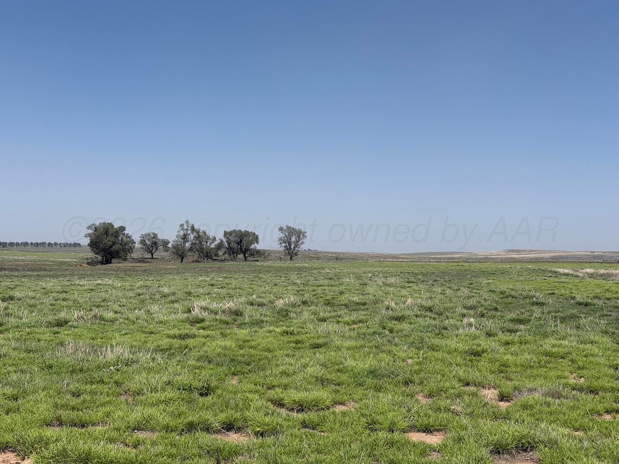 TBD County Road 3, Mobeetie, TX 79061, photo 6