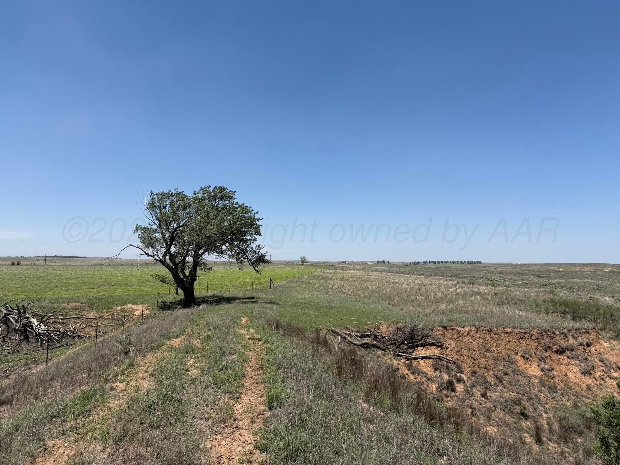 TBD County Road 3, Mobeetie, TX 79061, photo 23