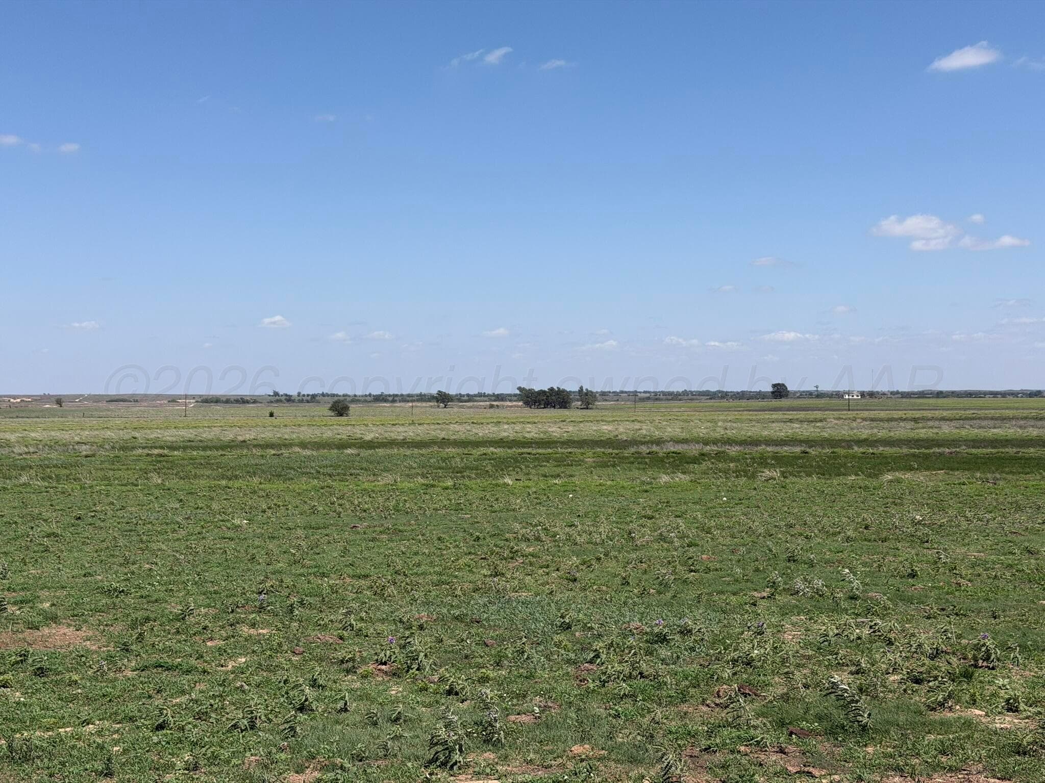 TBD County Road 3, Mobeetie, TX 79061, photo 40
