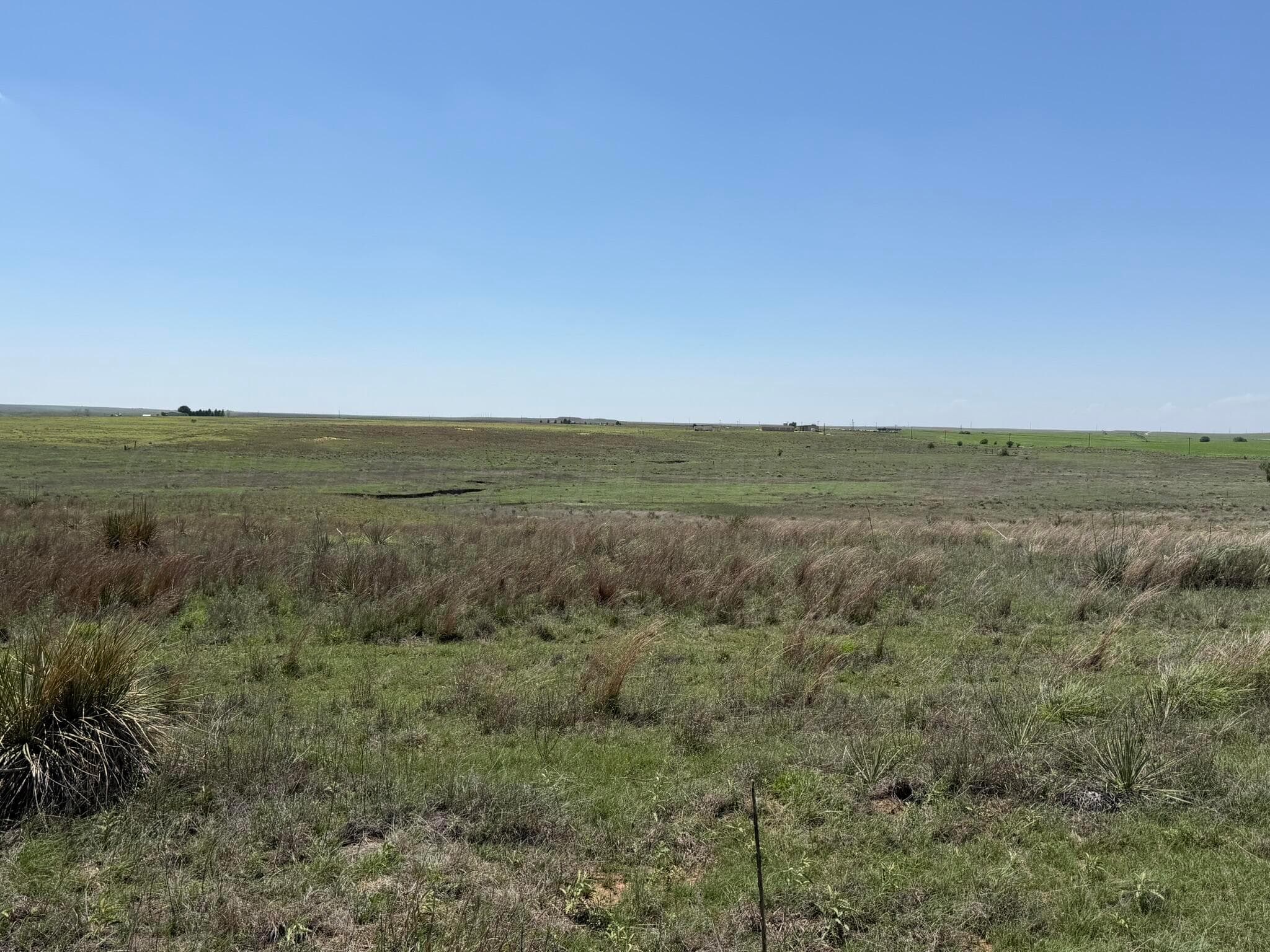 TBD County Road 3, Mobeetie, TX 79061, photo 45
