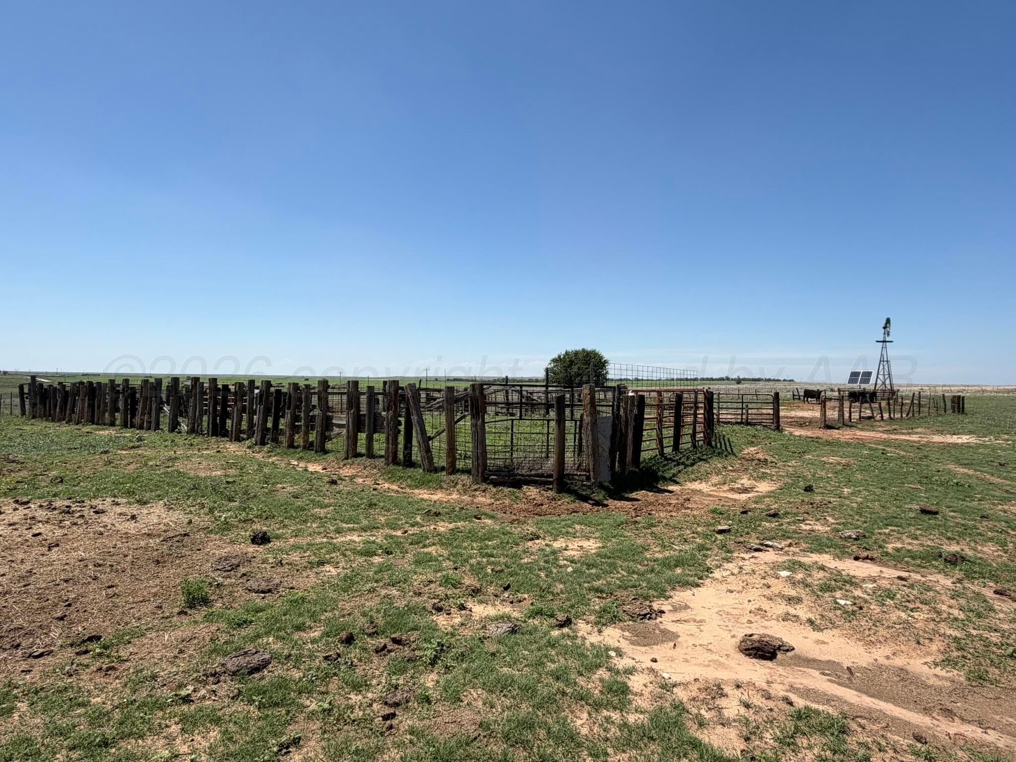 TBD County Road 3, Mobeetie, TX 79061, photo 47