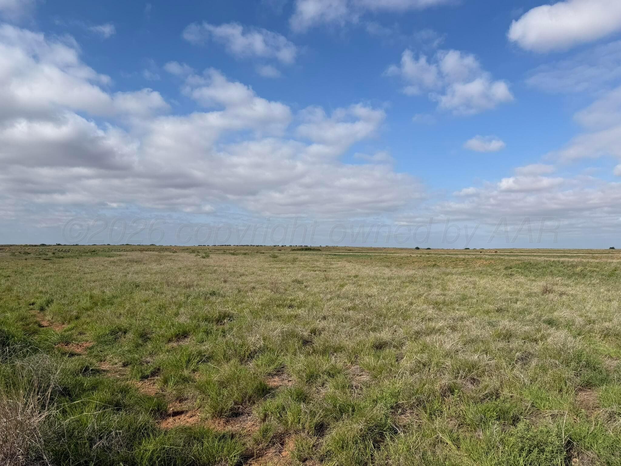 15450 Farm To Market Road 2103, Childress, TX 79201, photo 4