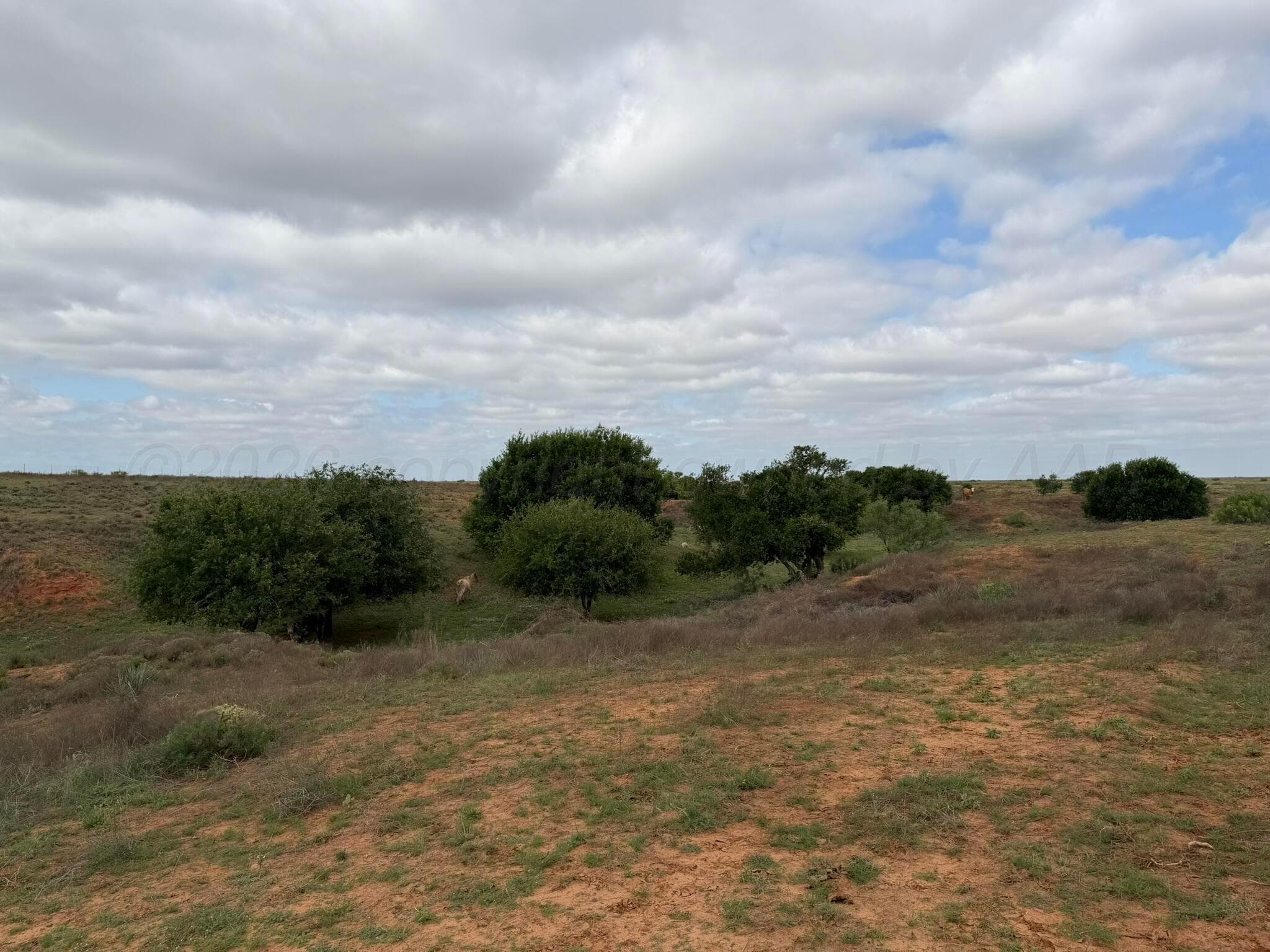 15450 Farm To Market Road 2103, Childress, TX 79201, photo 30