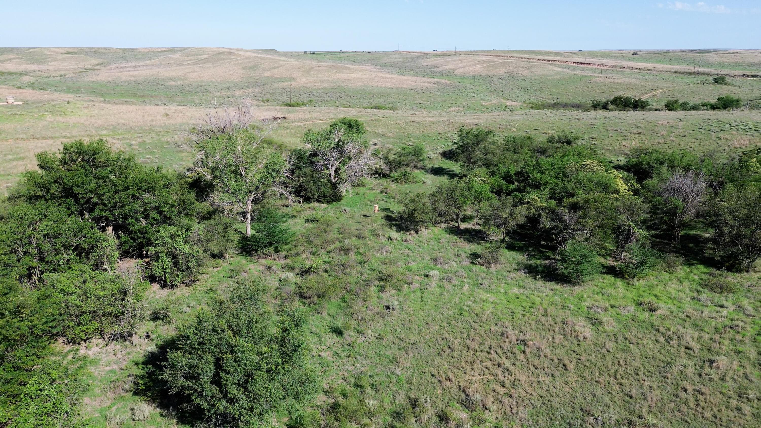 Peterson Creek ±640ac, McLean, TX 79057, photo 6