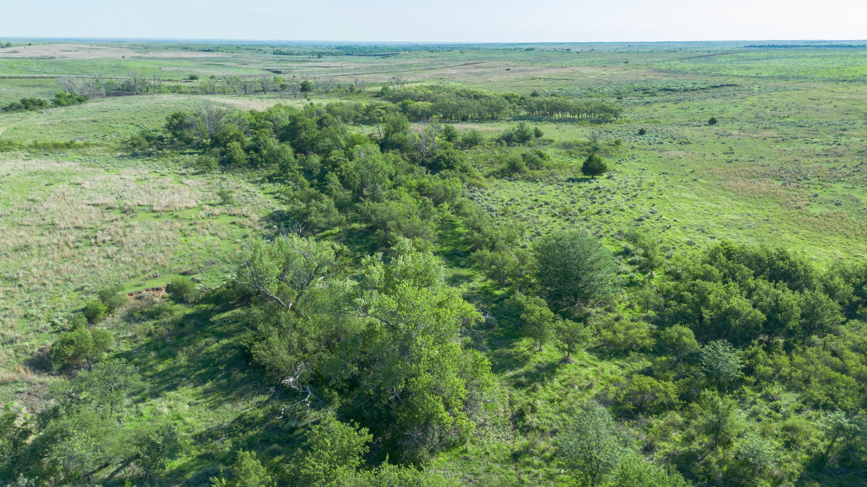 Peterson Creek ±640ac, McLean, TX 79057, photo 2