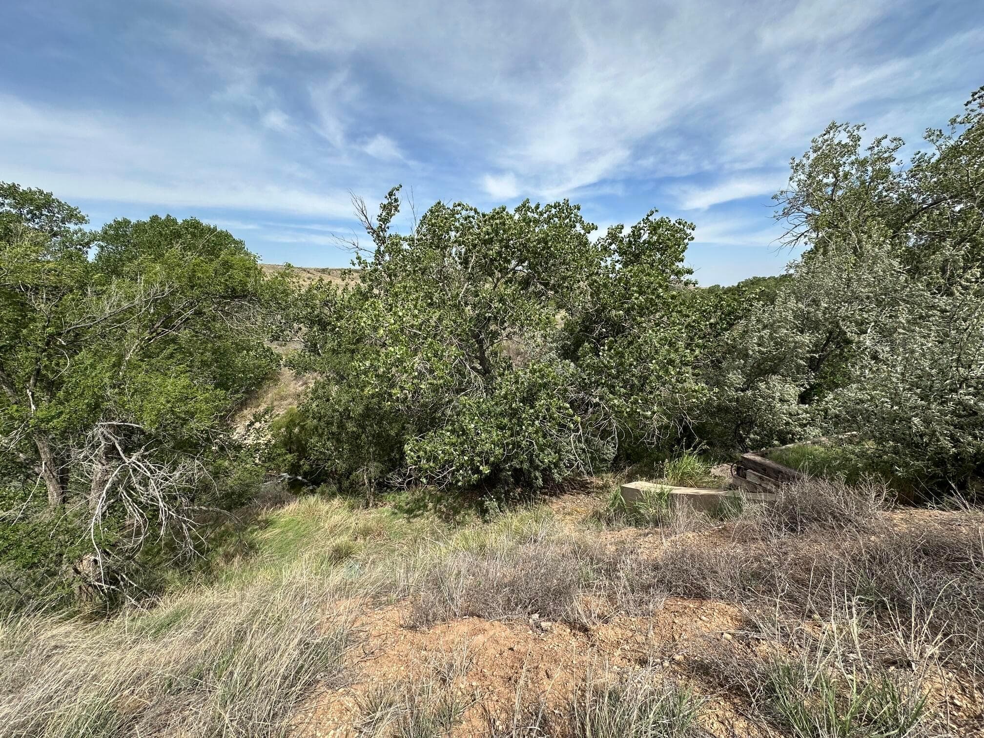 0 Lost Canyon Drive, Amarillo, TX 79124, photo 9