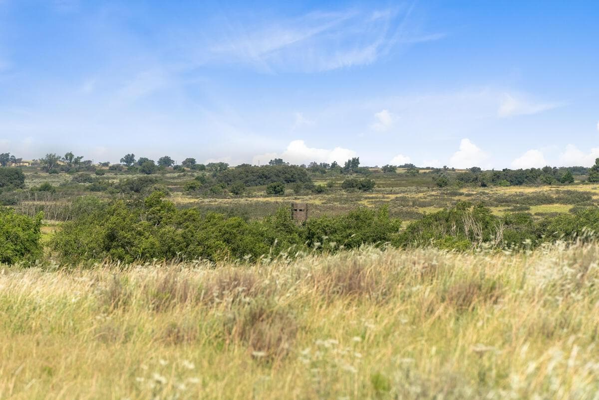 Bar T Ranch, Shamrock, TX 79079, photo 12