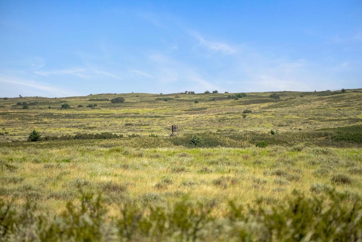 Bar T Ranch, Shamrock, TX 79079, photo 13